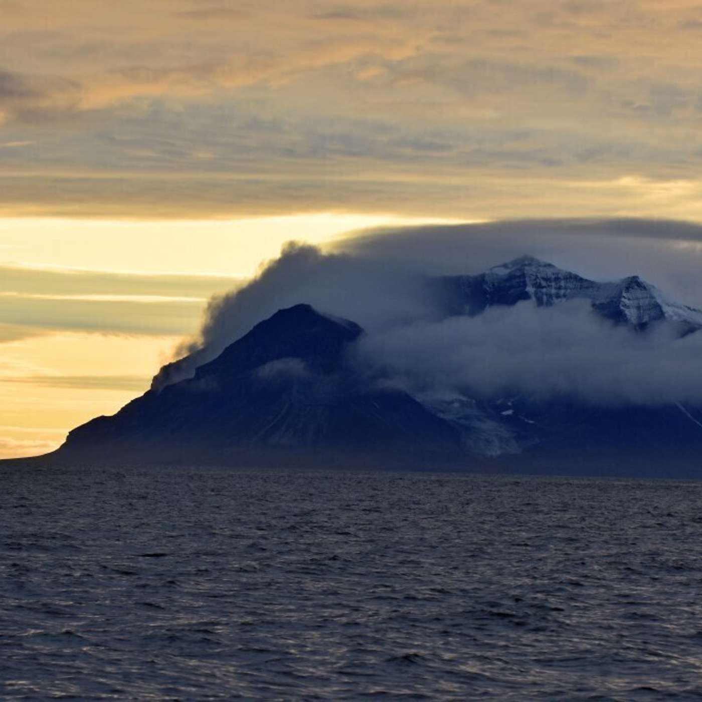 На Шпицбергене застрелили белого медведя
