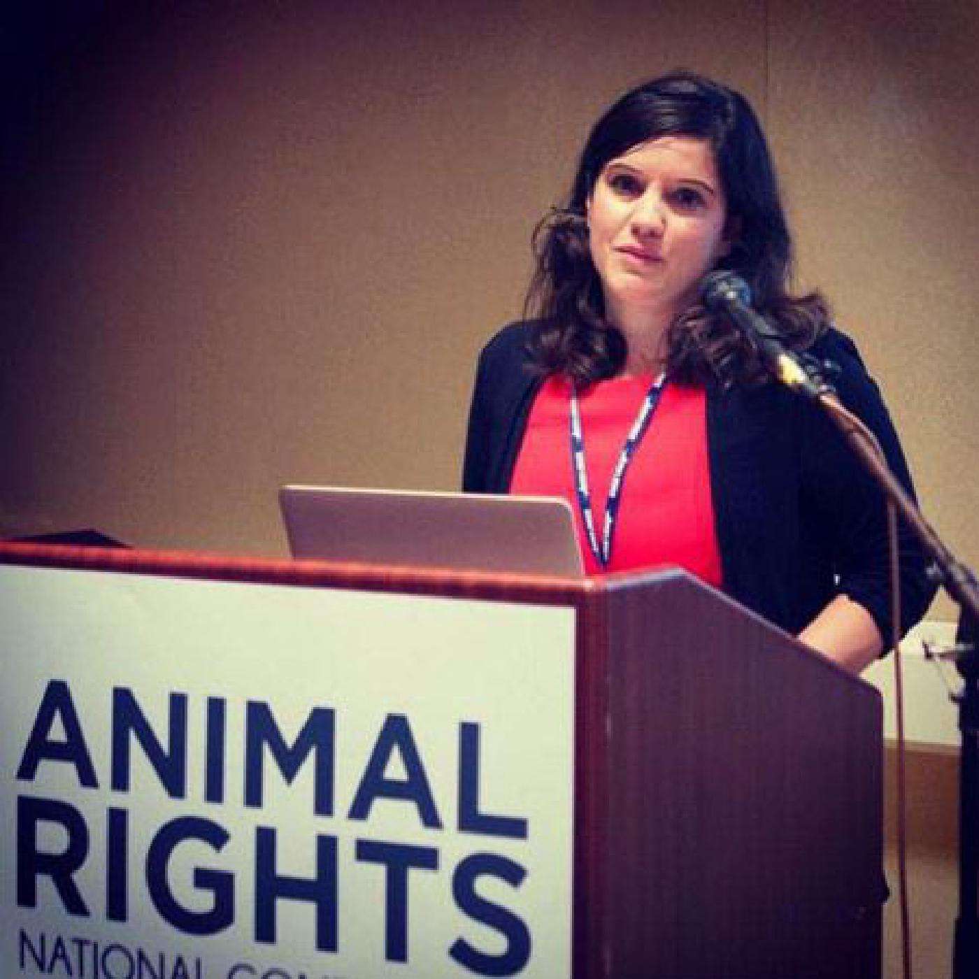 80,000 Hours Podcast