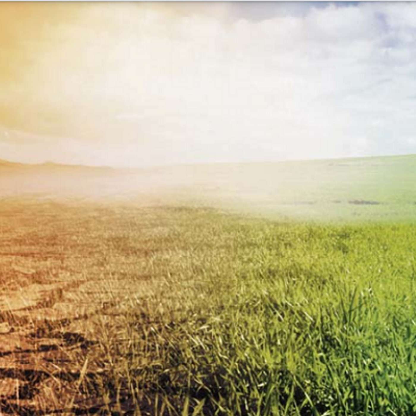 Climate Targets, Technology and Profitability on the Farm