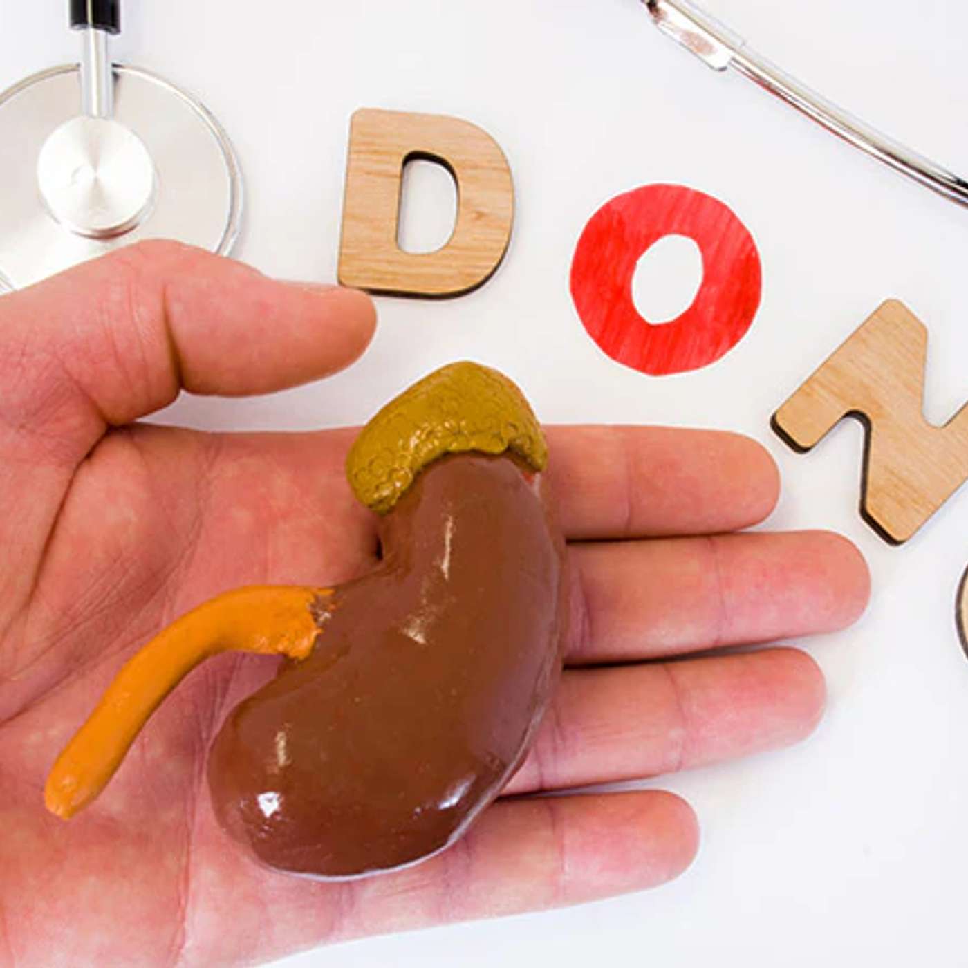 McGill Study Reveals Dopamine Neurons, Kidney Donation Mortality Rate Drops, Scientists Decode Brain Mechanism, Scientists Warn of Human Extinction, and more...