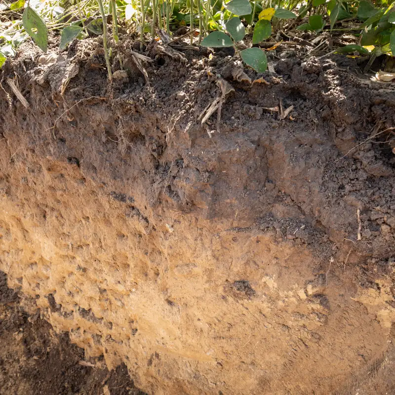 Measuring and building soil carbon