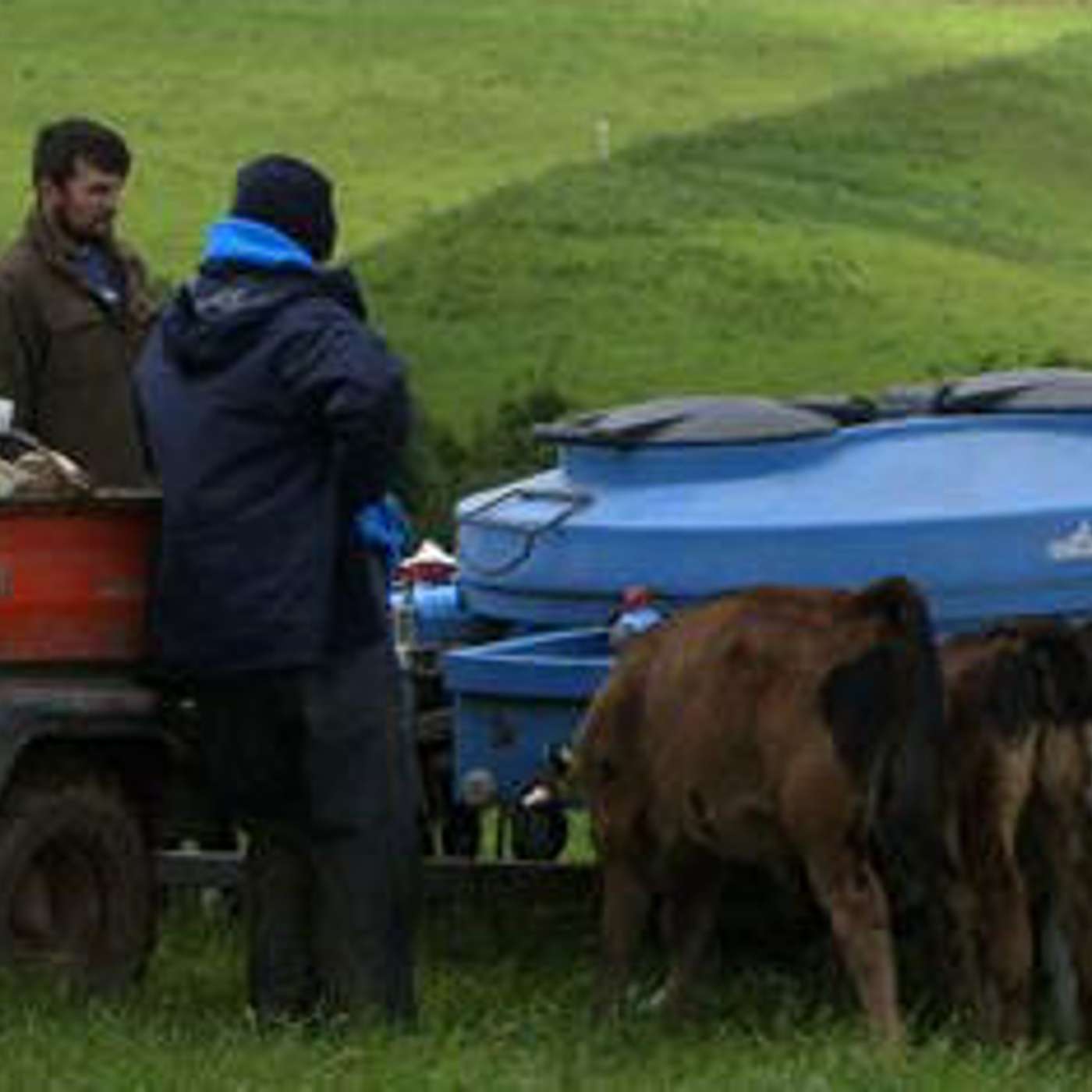 How to attract and keep staff on Irish dairy farms