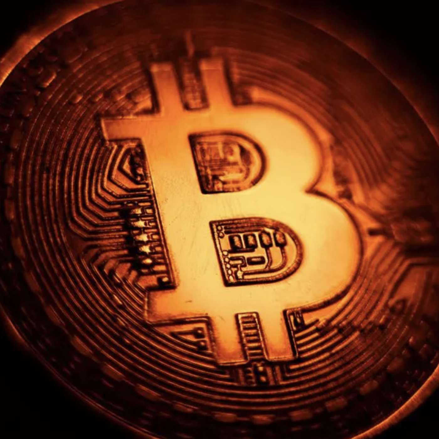 Bitcoin Dominates Amid Market Volatility, Bitcoin's Bullish 2024 Outlook, Revolutionizing Financial Inclusion, and more...