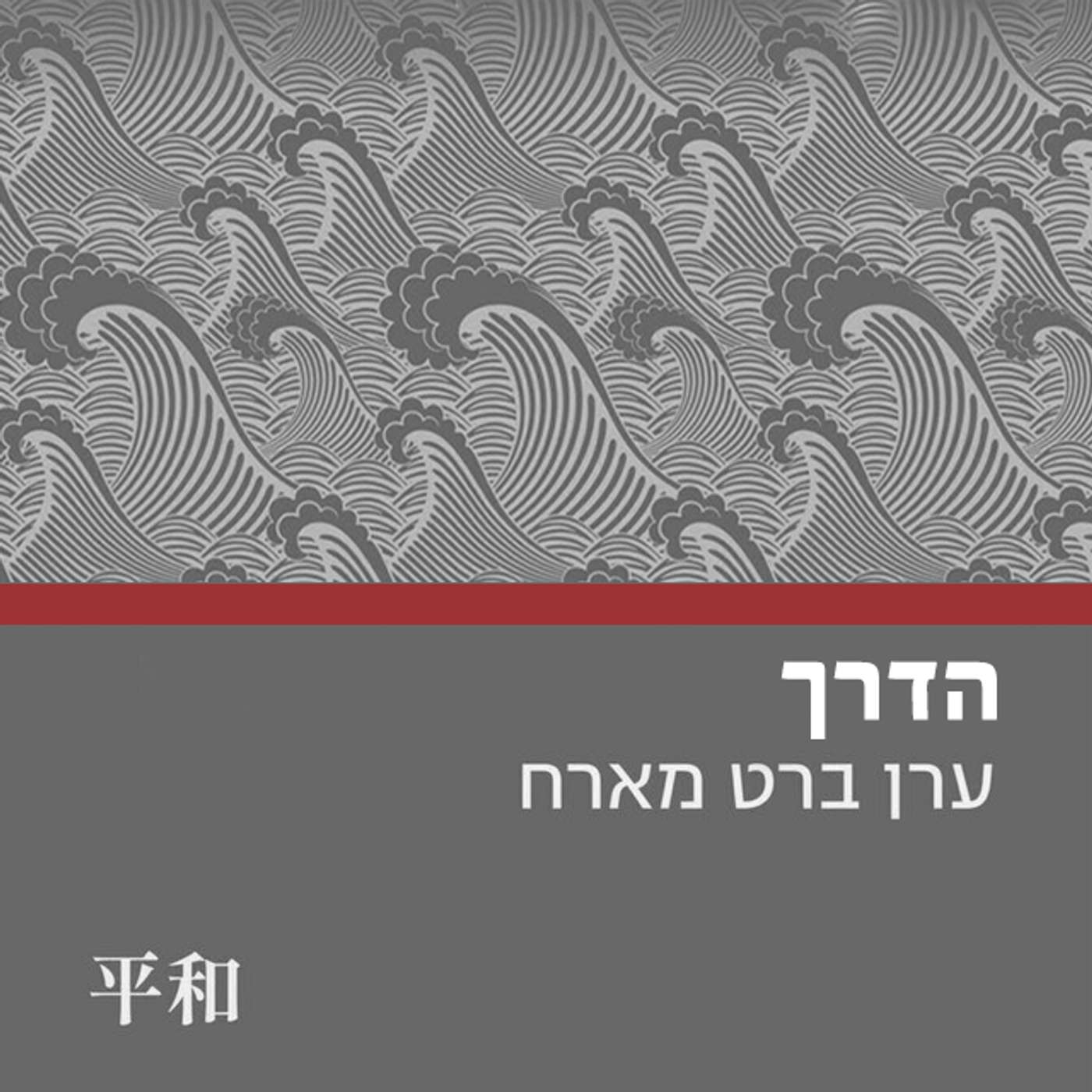 הדרך || ערן ברט podcast artwork