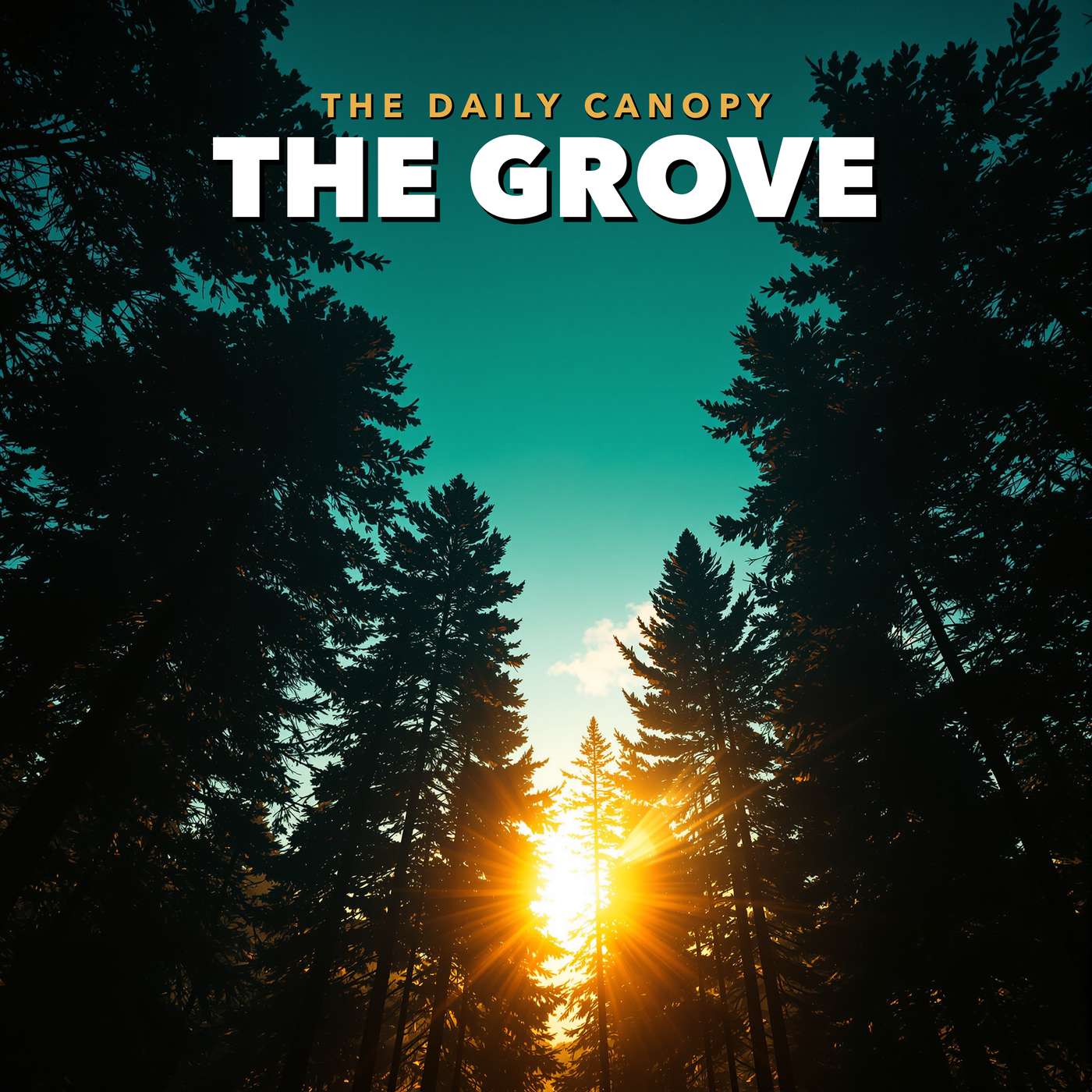 The Daily Canopy: The Grove