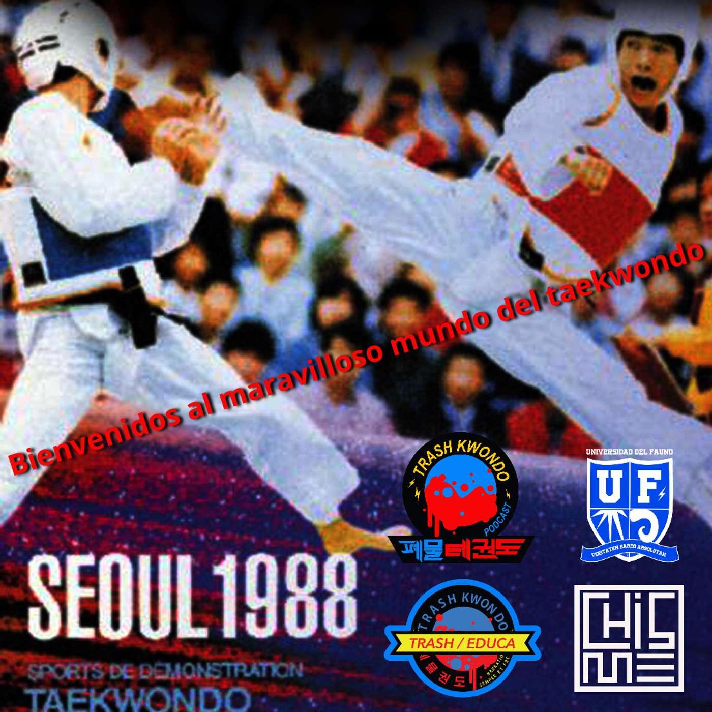 Bienvenidos al maravilloso mundo del taekwondo episode artwork
