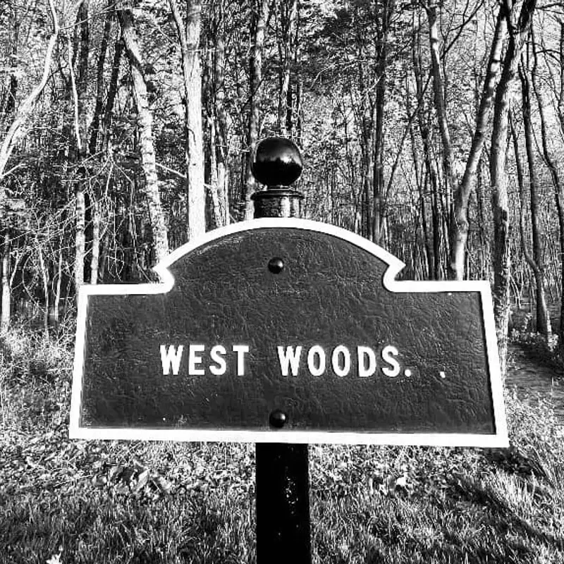 'The Mayor of The West Woods': Antietam guide Jim Buchanan
