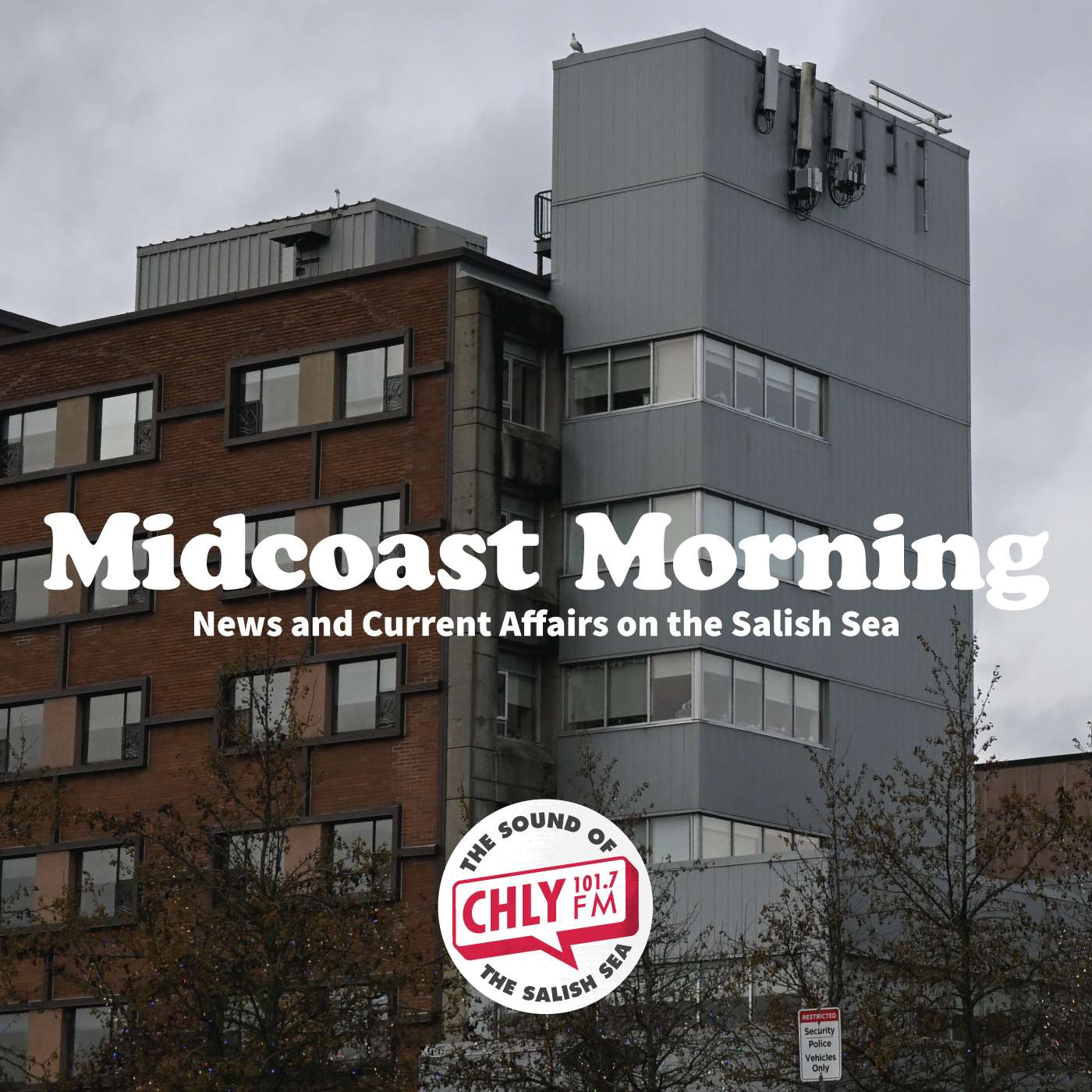 Midcoast Morning