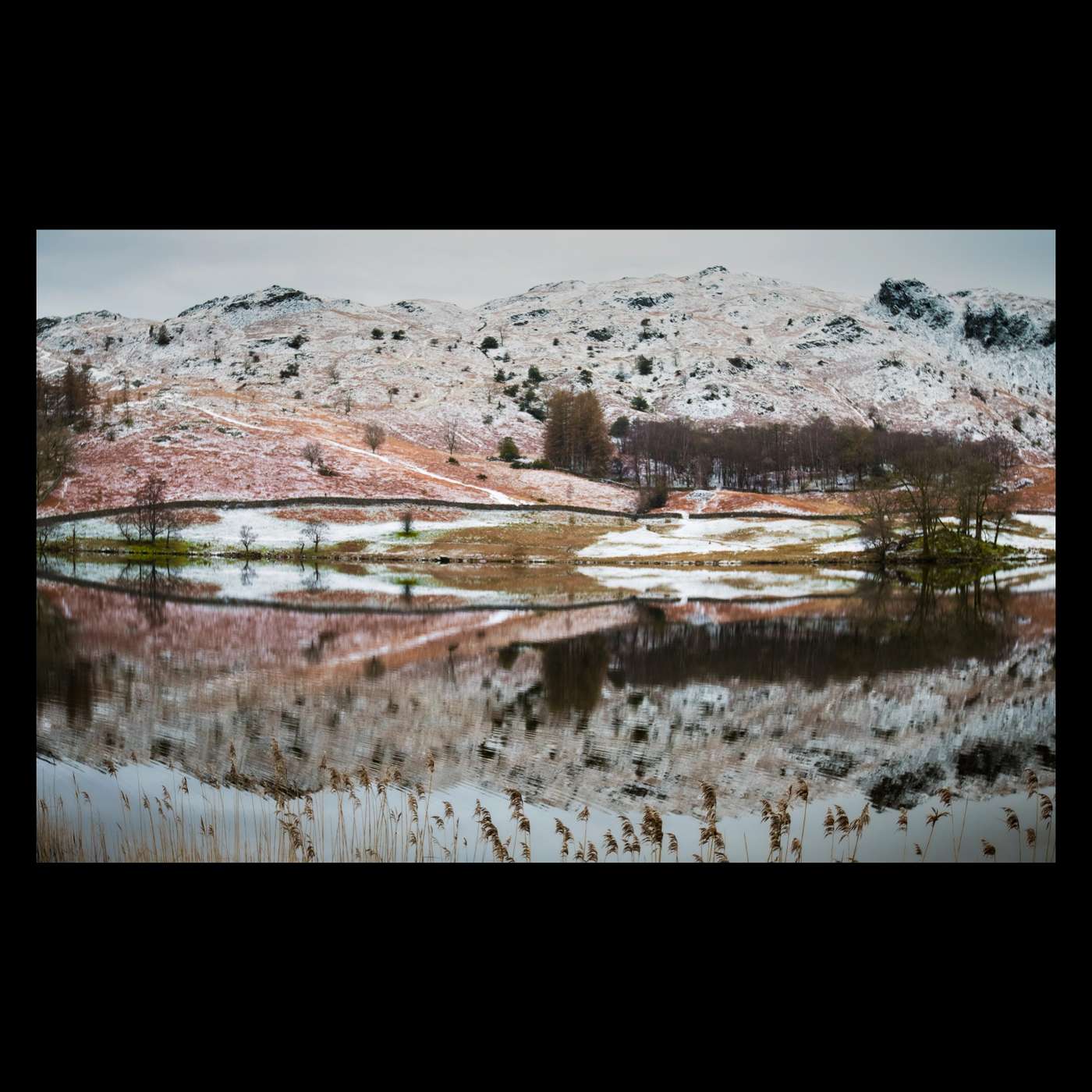 The Ten Thousand Things