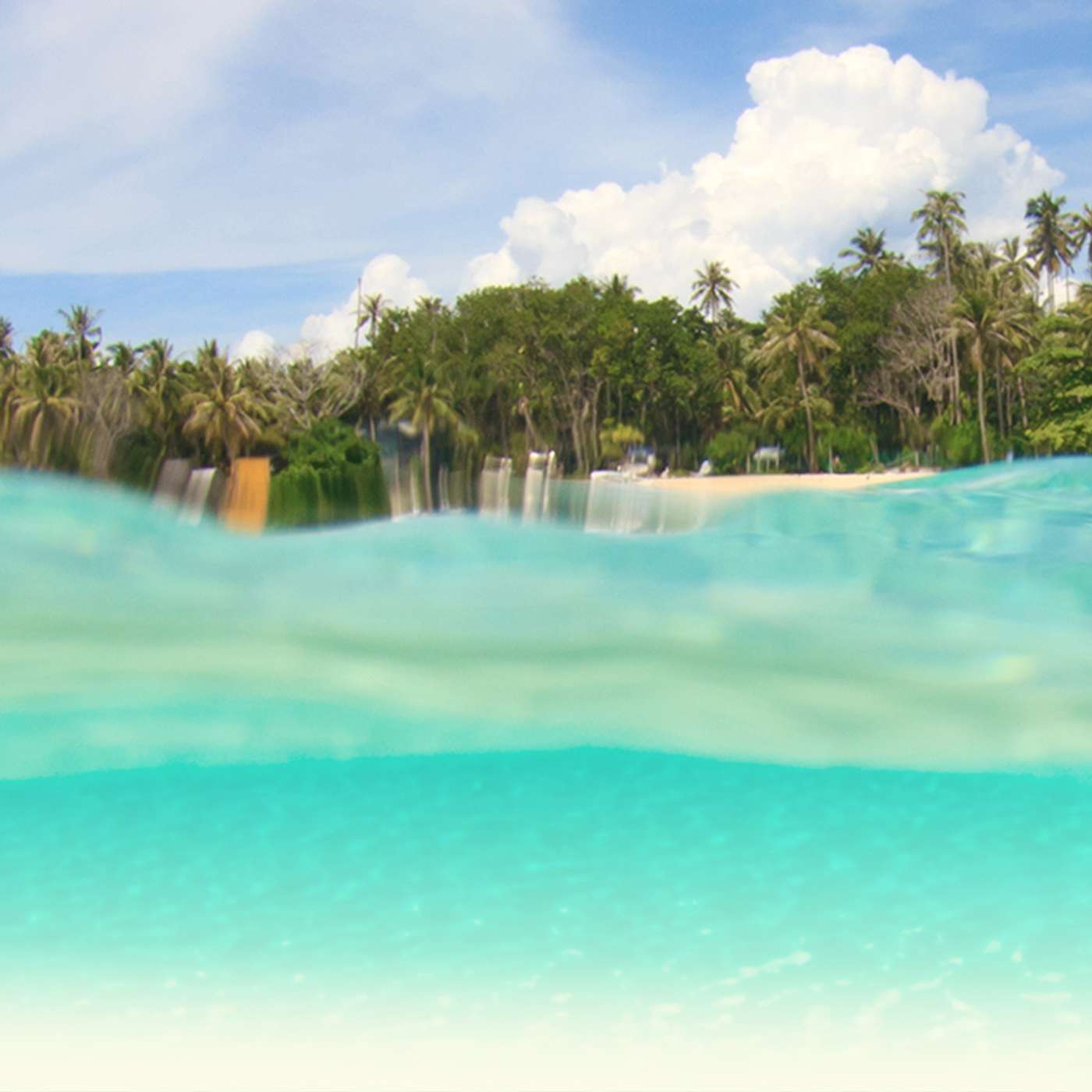 Finding a Friend in Jesus