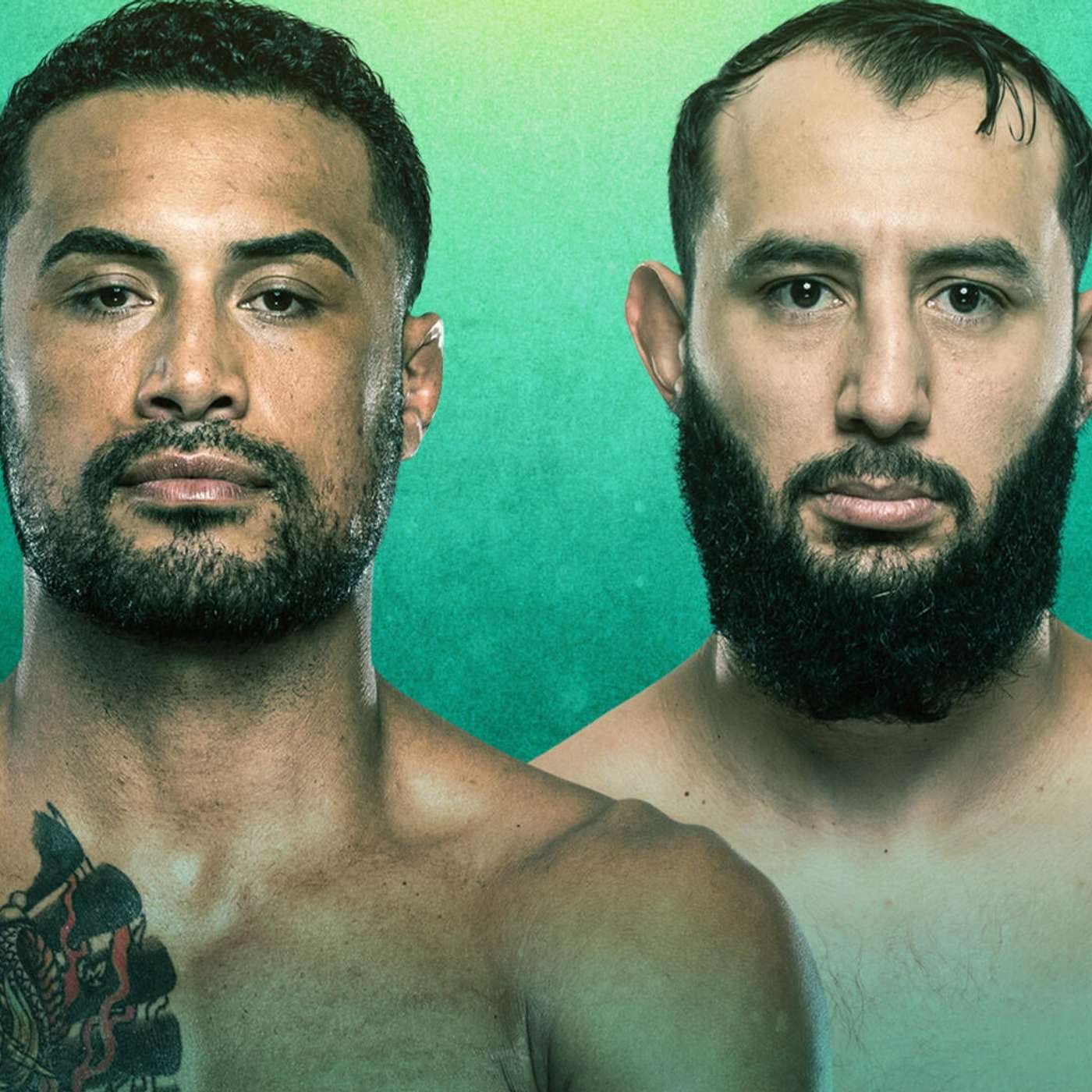 UFC on ESPN+ 118 Preview