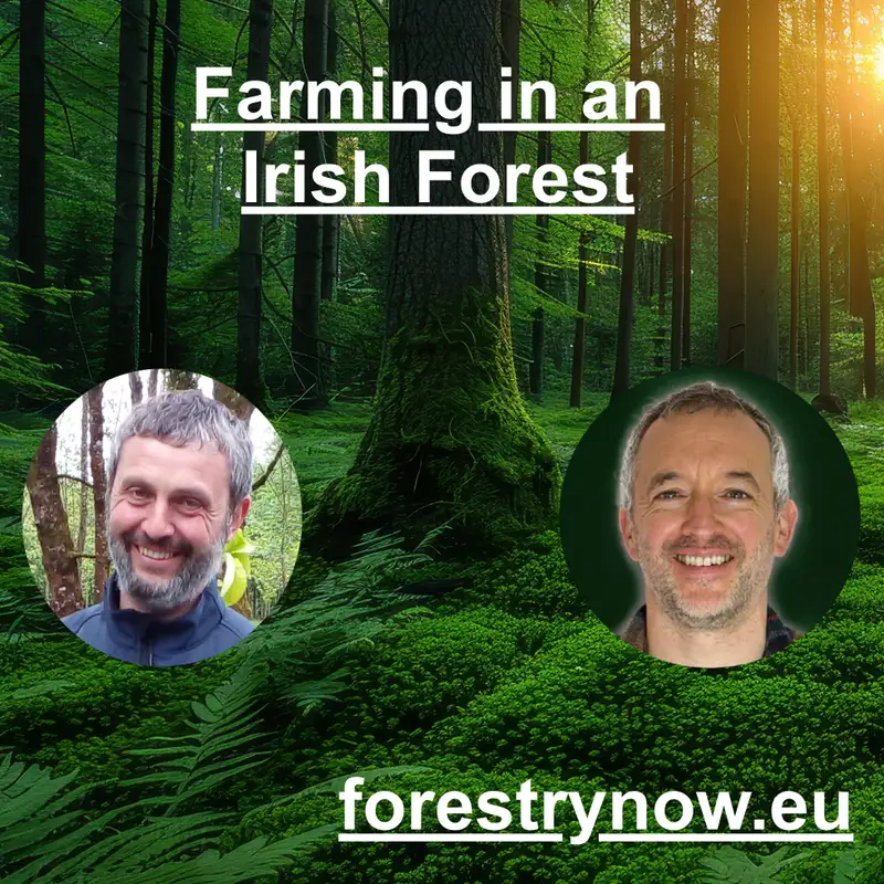 Farming in an Irish Forest with Brendan Guinan