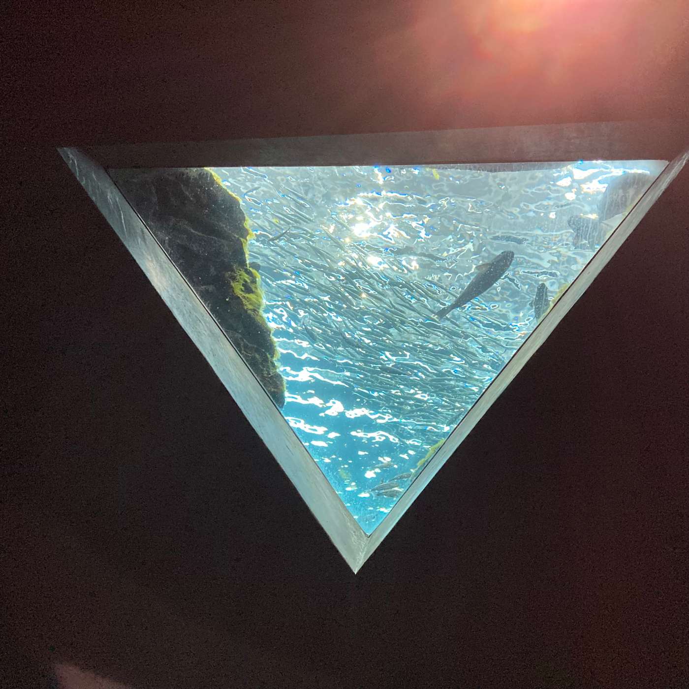 Undersea Communion episode artwork