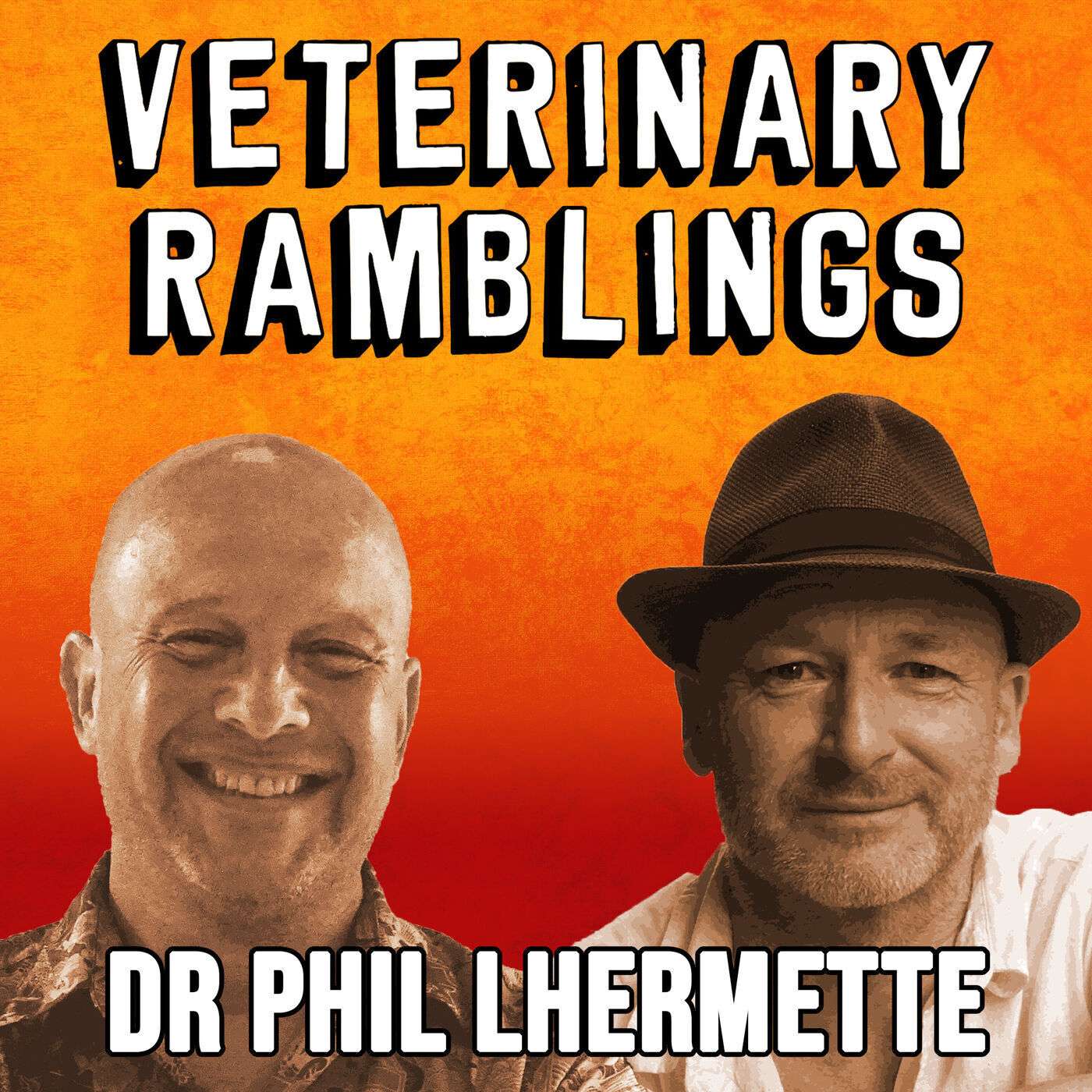 Ep 3: Cat Diabetes and Adventure Photography with Dr Philip Lhermette episode artwork
