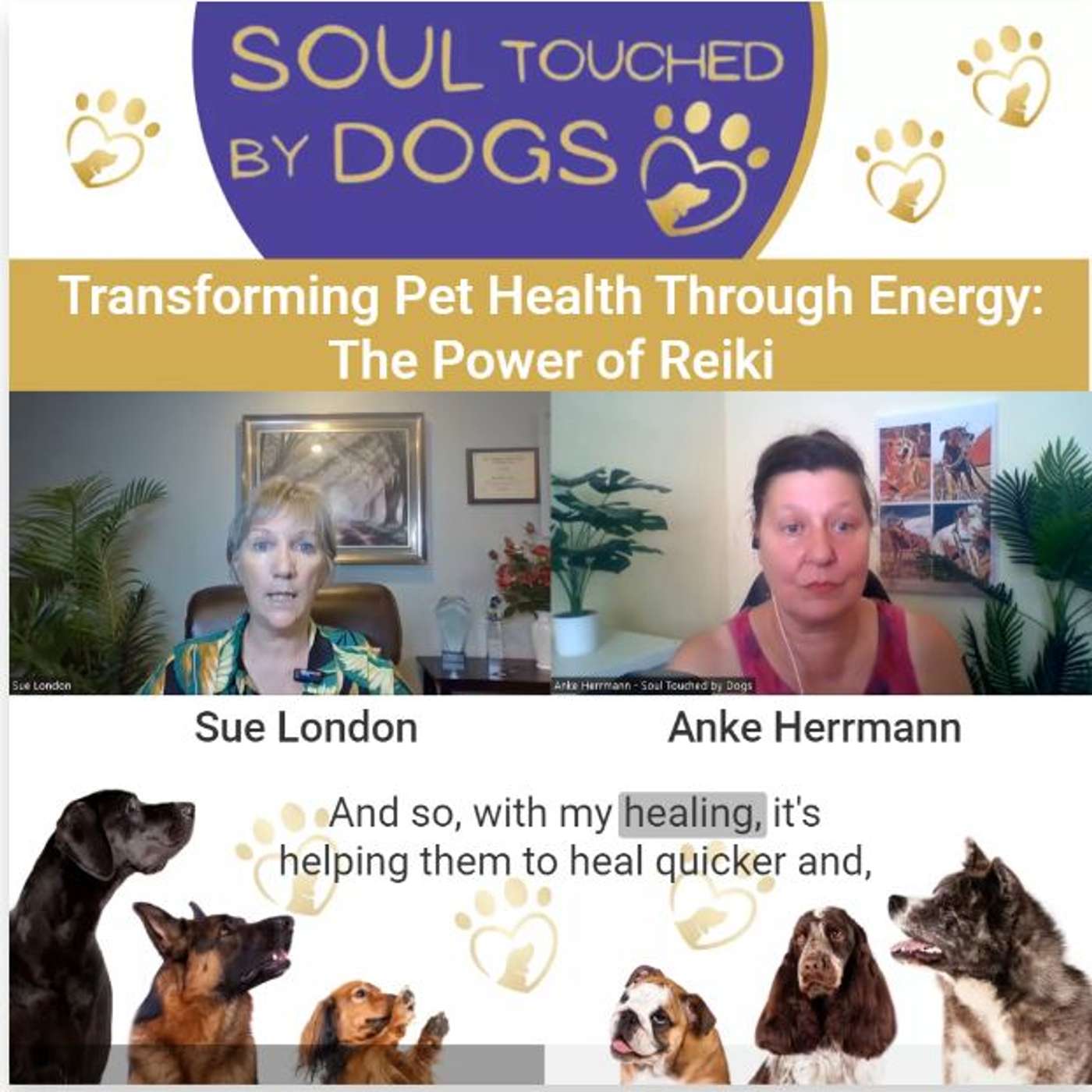 Soul Touched by Dogs