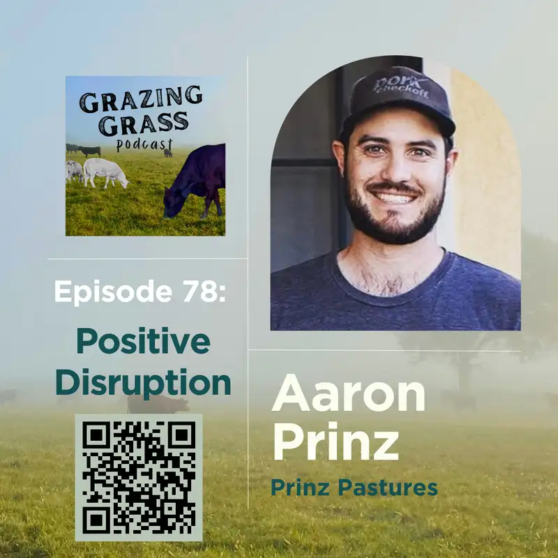 e78. Positive Disruption with Aaron Prinz
