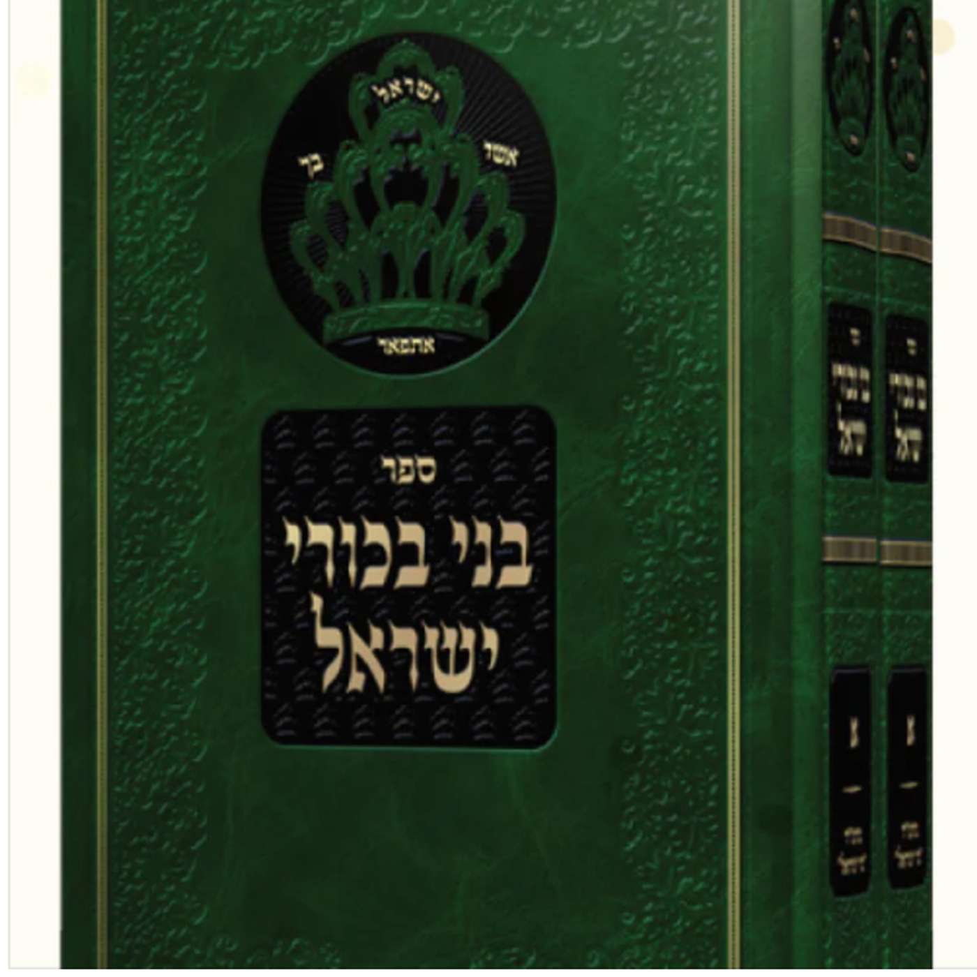 Pesach - The Depths of the Rasha's Question