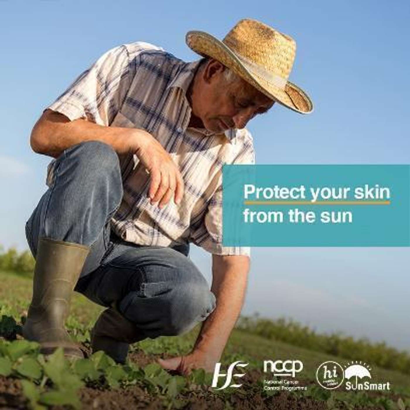 Sun Smart Tips for Dairy Farmers