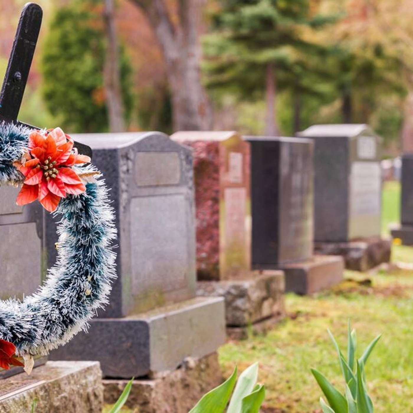 UK Police Reform Merges Spark Debate, Queen Elizabeth Memorial Unveils Design, Funeral Plan Executives Face Fraud, RingGo Outage Sparks Chaos, and more...