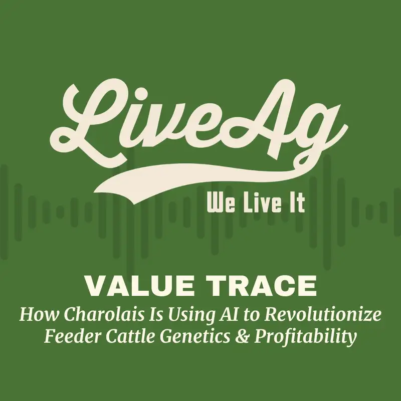 Value Trace: How Charolais Is Using AI to Revolutionize Feeder Cattle Genetics & Profitability