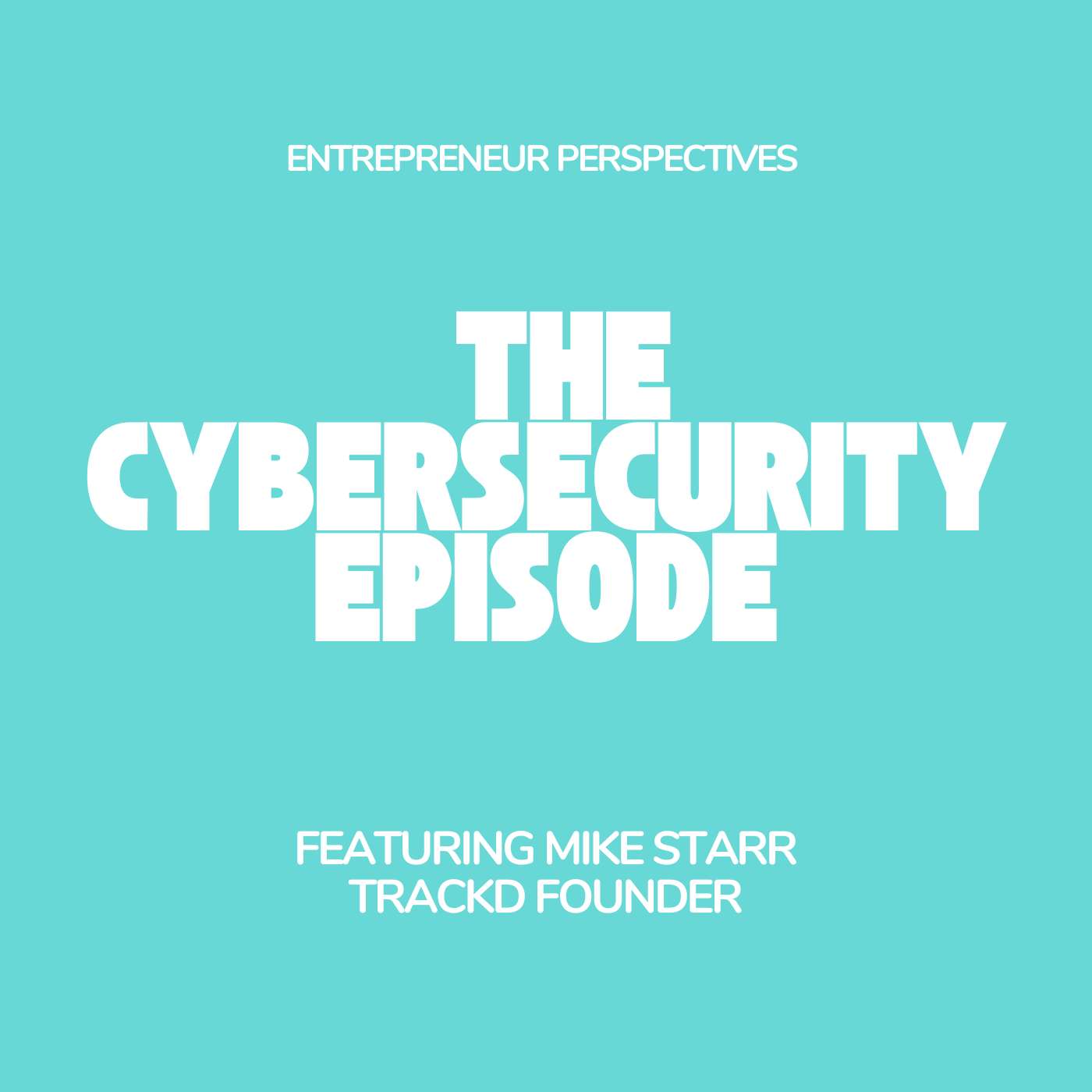 Entrepreneur Perspectives