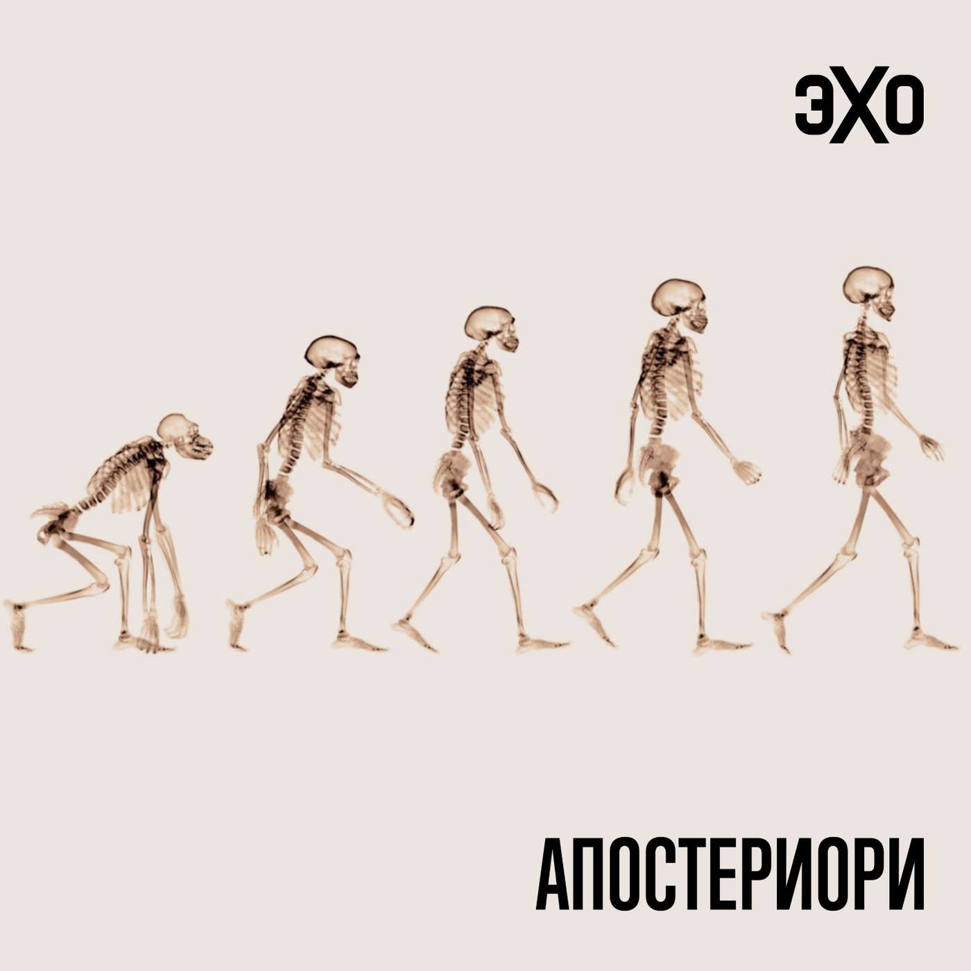 Праворукость человека может быть связана с прямохождением episode artwork