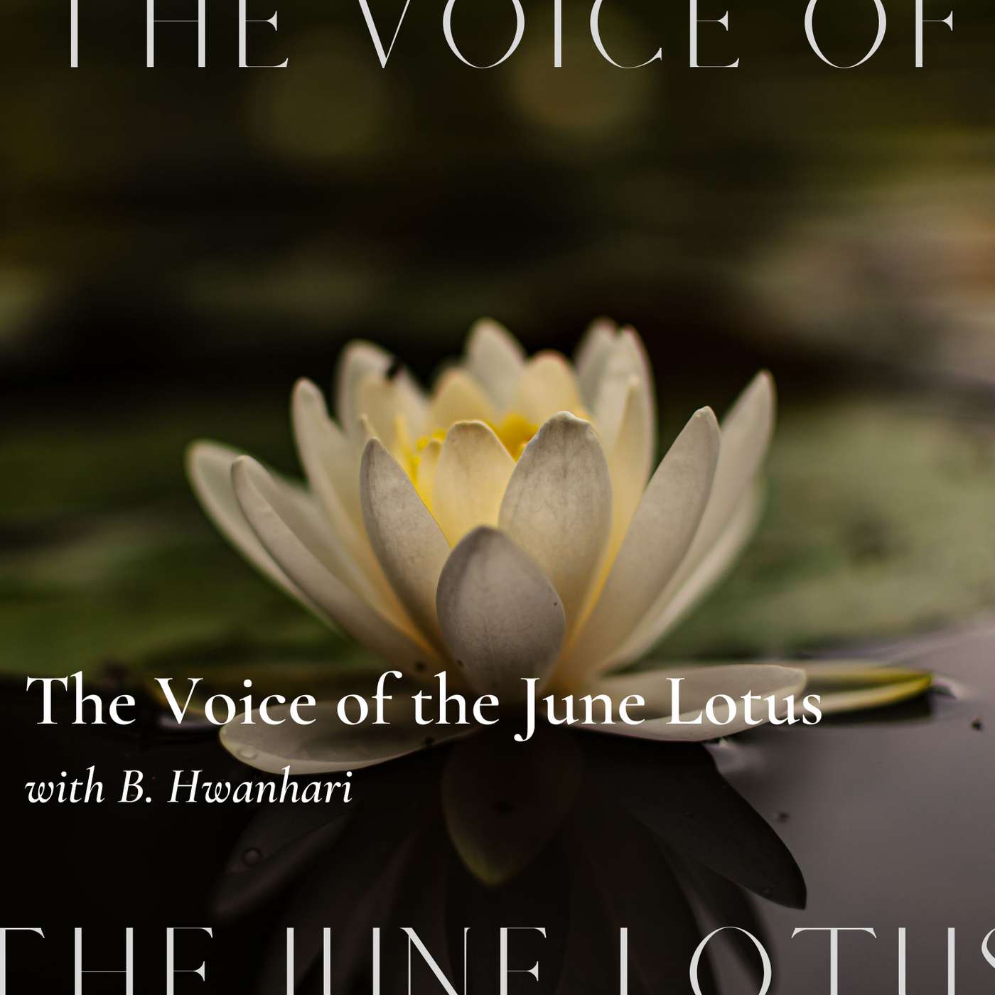 The Voice of The June Lotus podcast artwork