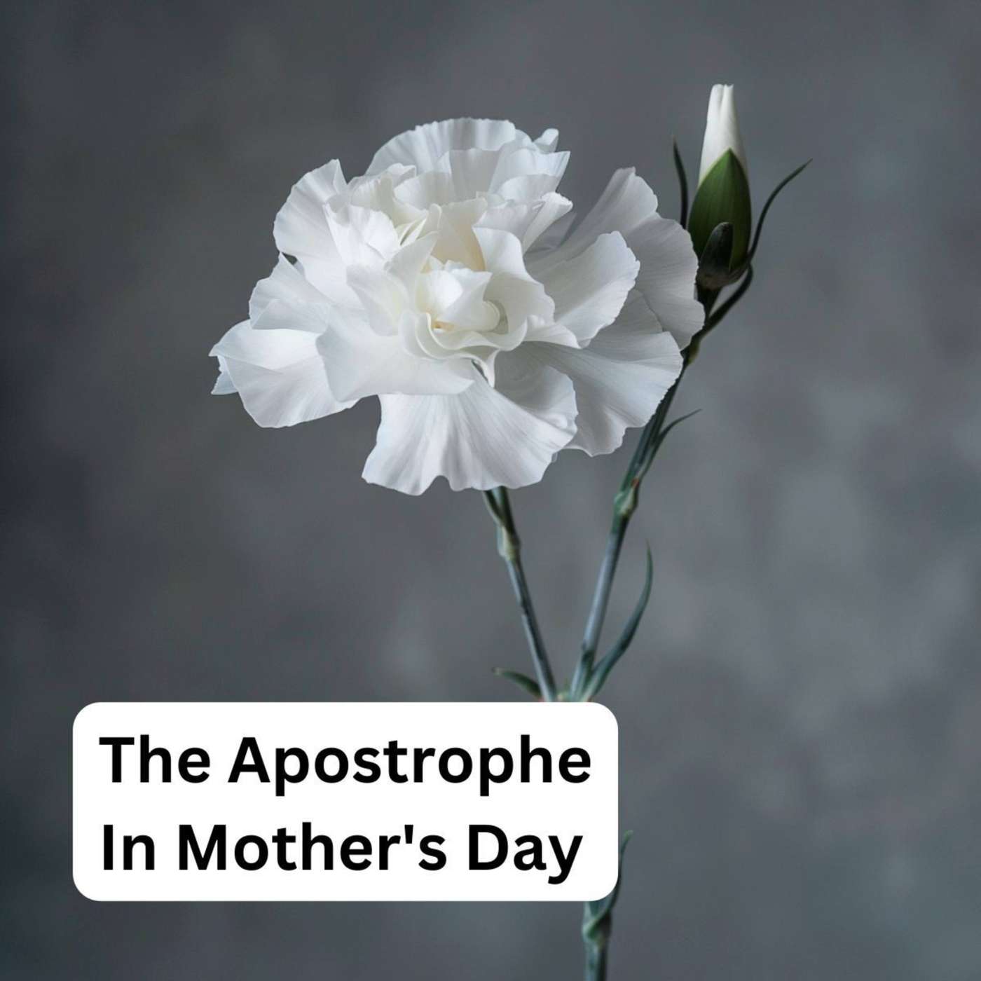 Day 215 - The Apostrophe In Mother's Day episode artwork