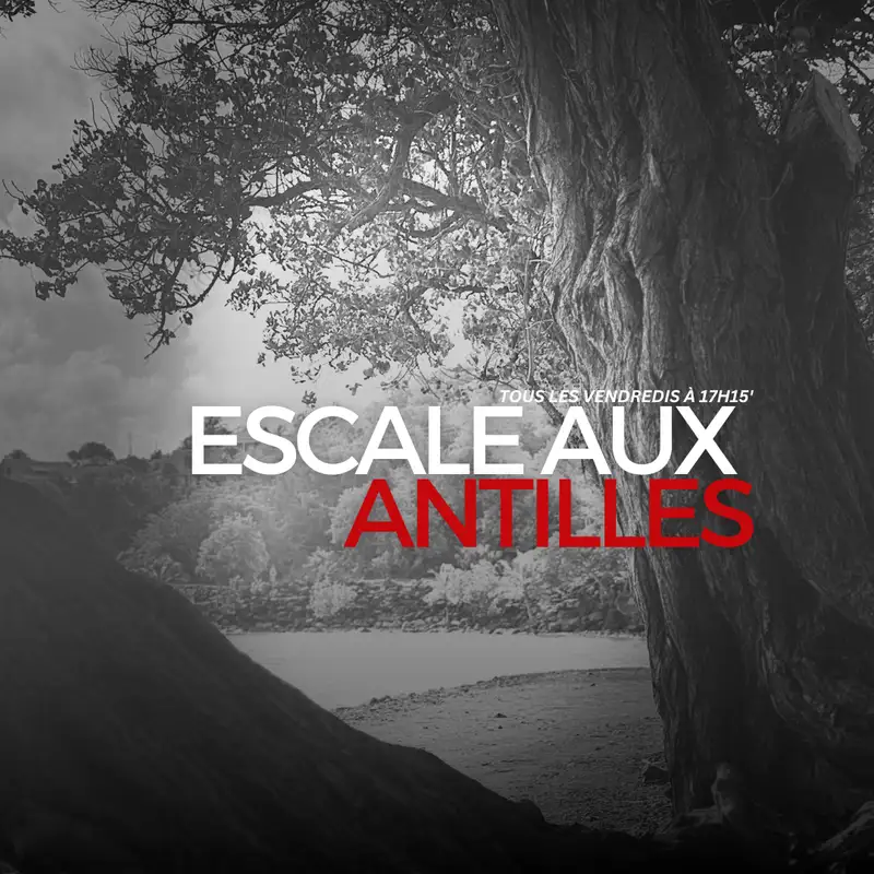 “Pour nous connaître il faut s’amuser avec nous, il faut vivre ce que nous vivons”