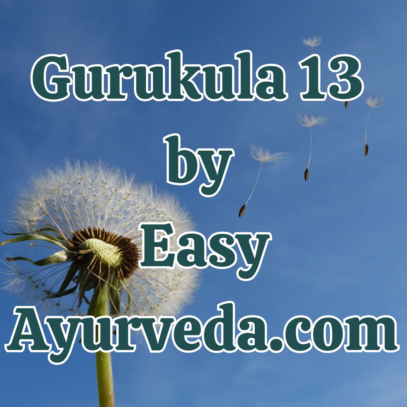 Gurukula 13: Comprehensive Interpretation on Nidana Panchaka Of Vata Vyadhi| Millets increase pain? episode artwork