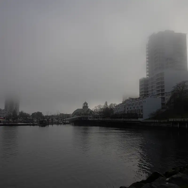 What is up with all this fog in Nanaimo?