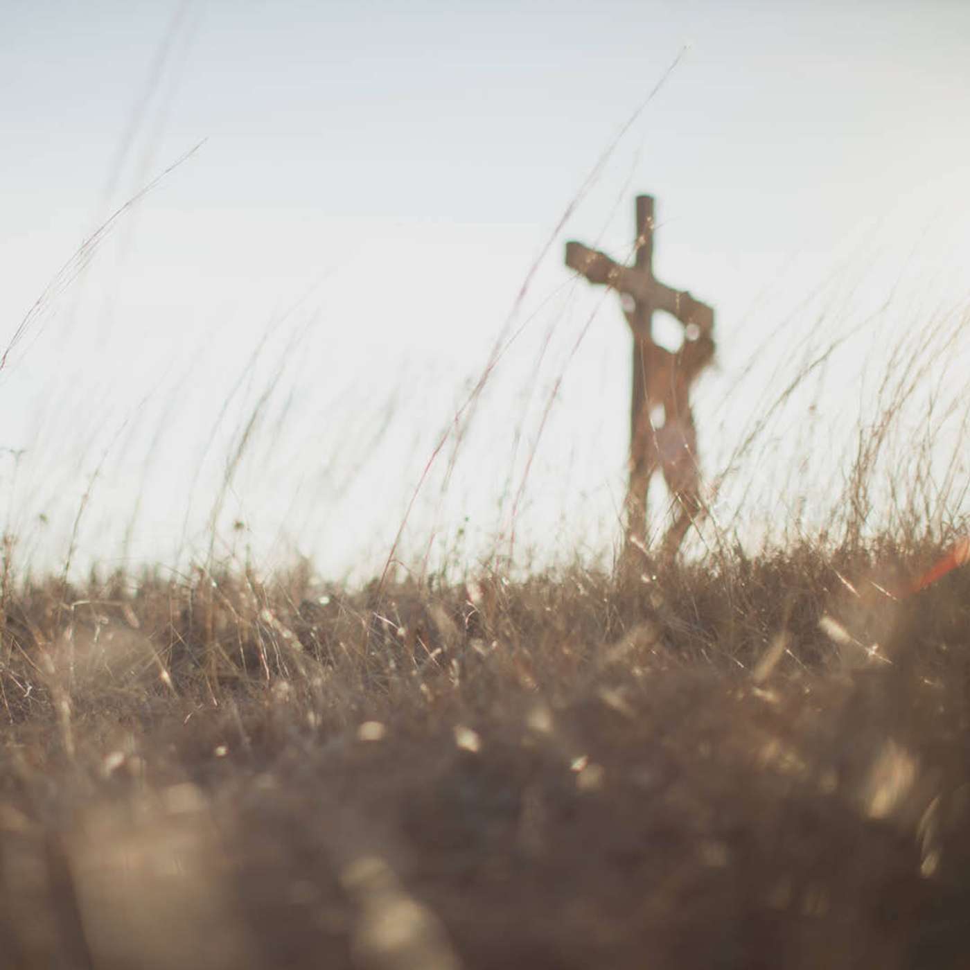 BLOG | Is Reconciliation Possible? A Lesson from Africa episode artwork