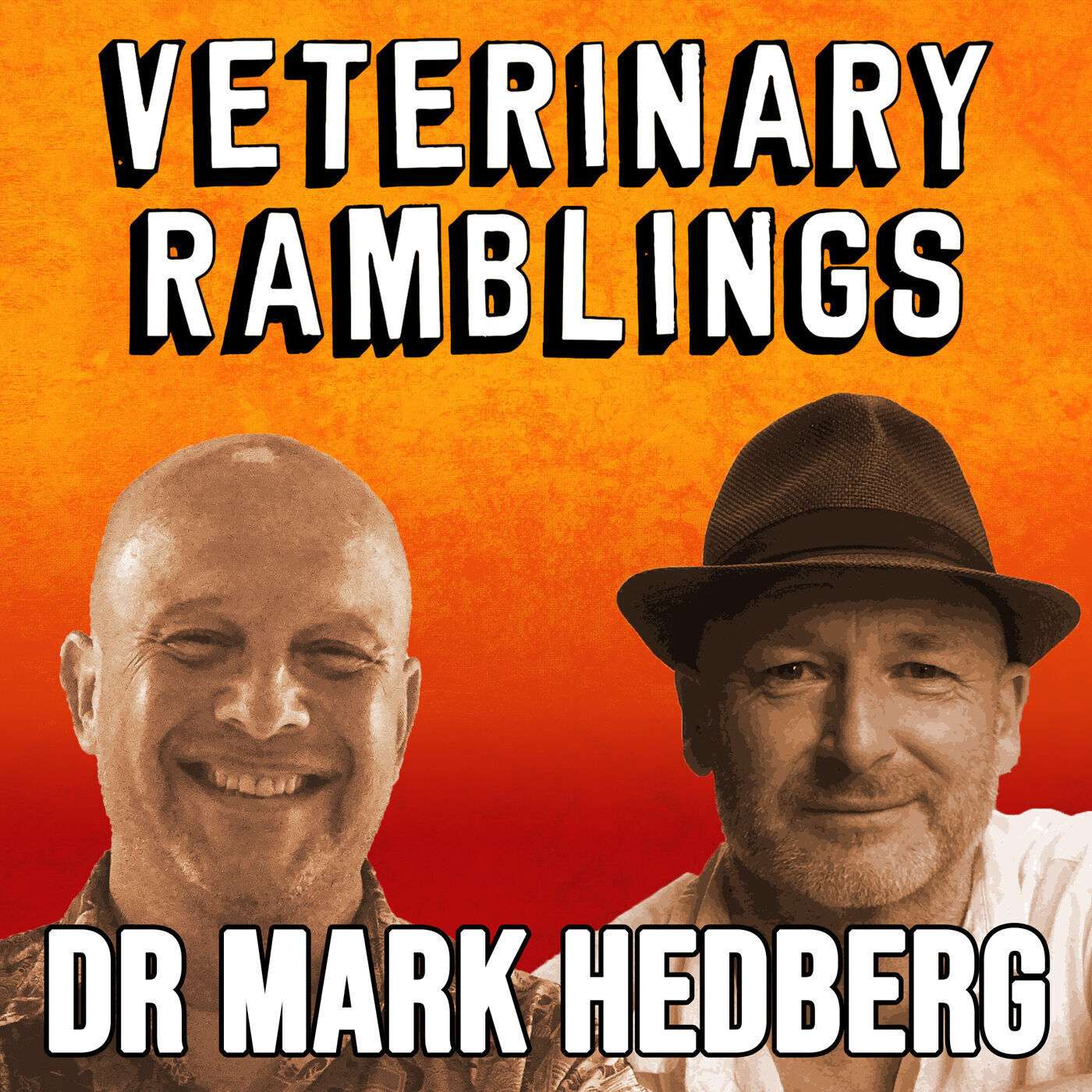 Ep 72: The Life Of An Expat Vet With Dr Mark Hedberg episode artwork
