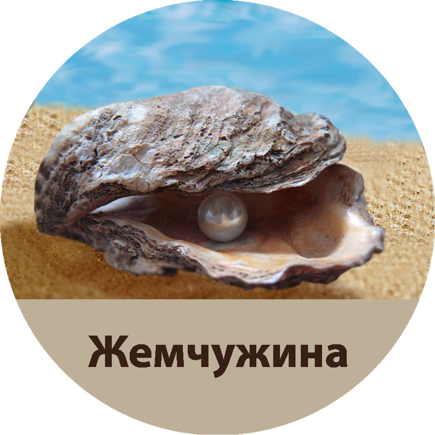 94. Женщина, противостоящая культуре; Притчи 31-5 episode artwork
