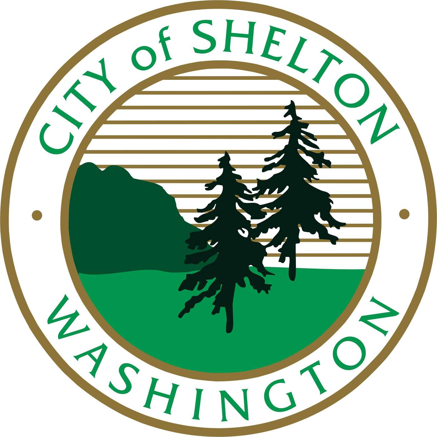 Shelton City Manager Mark Ziegler Talks Process Of Choosing New Councilmember