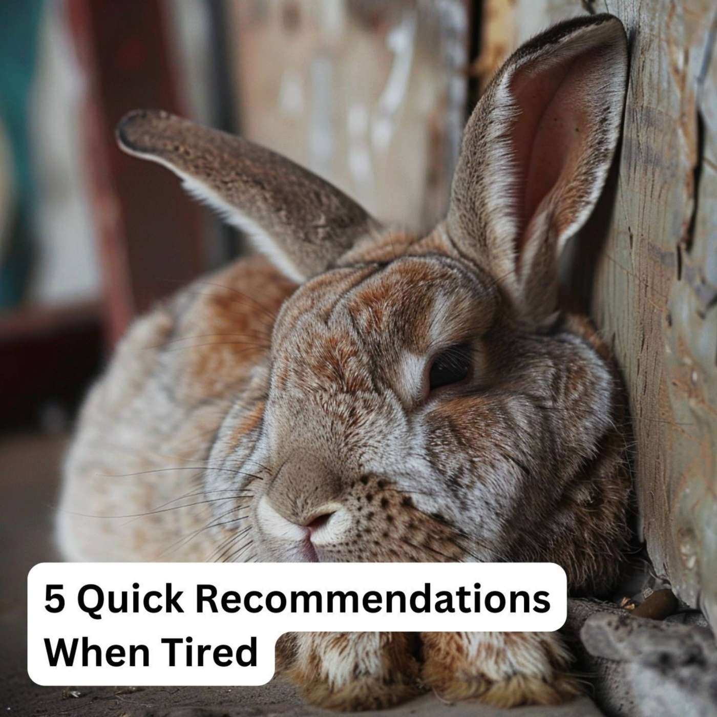 Day 167 - 5 Quick Recommendations When Tired episode artwork