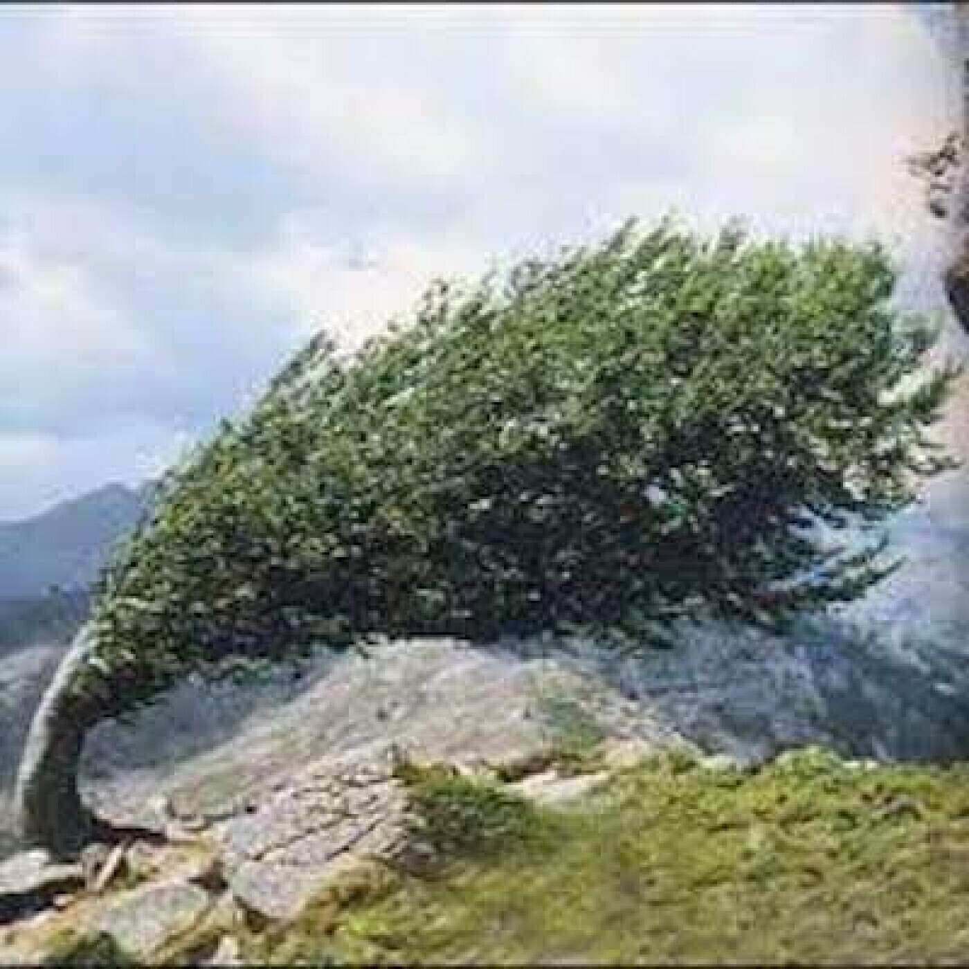 L\'Art de l\'Écoute