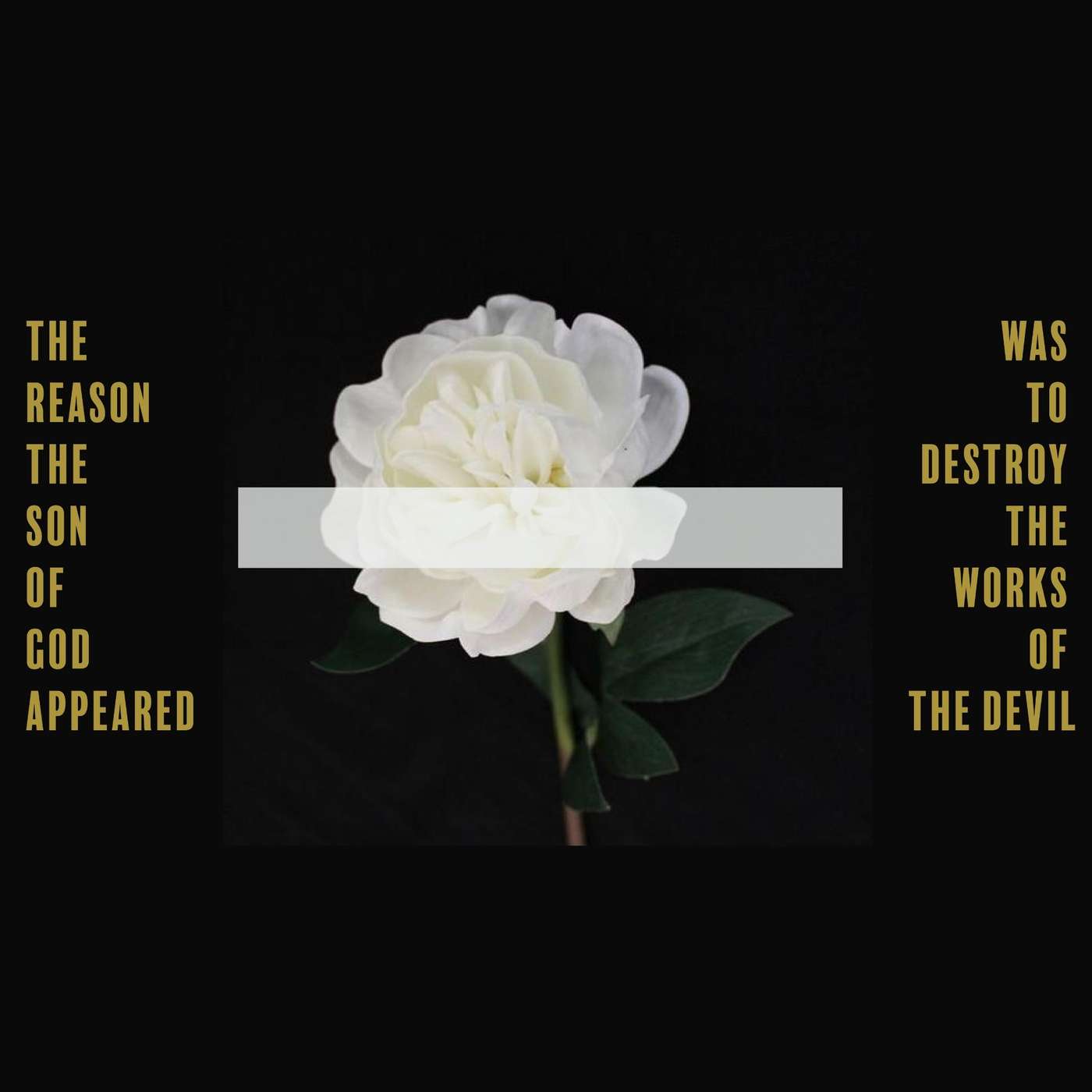 The Reason the Son of God Appeared was to Destroy the Works of the devil // The devil is a Liar - Zach Daniel episode artwork