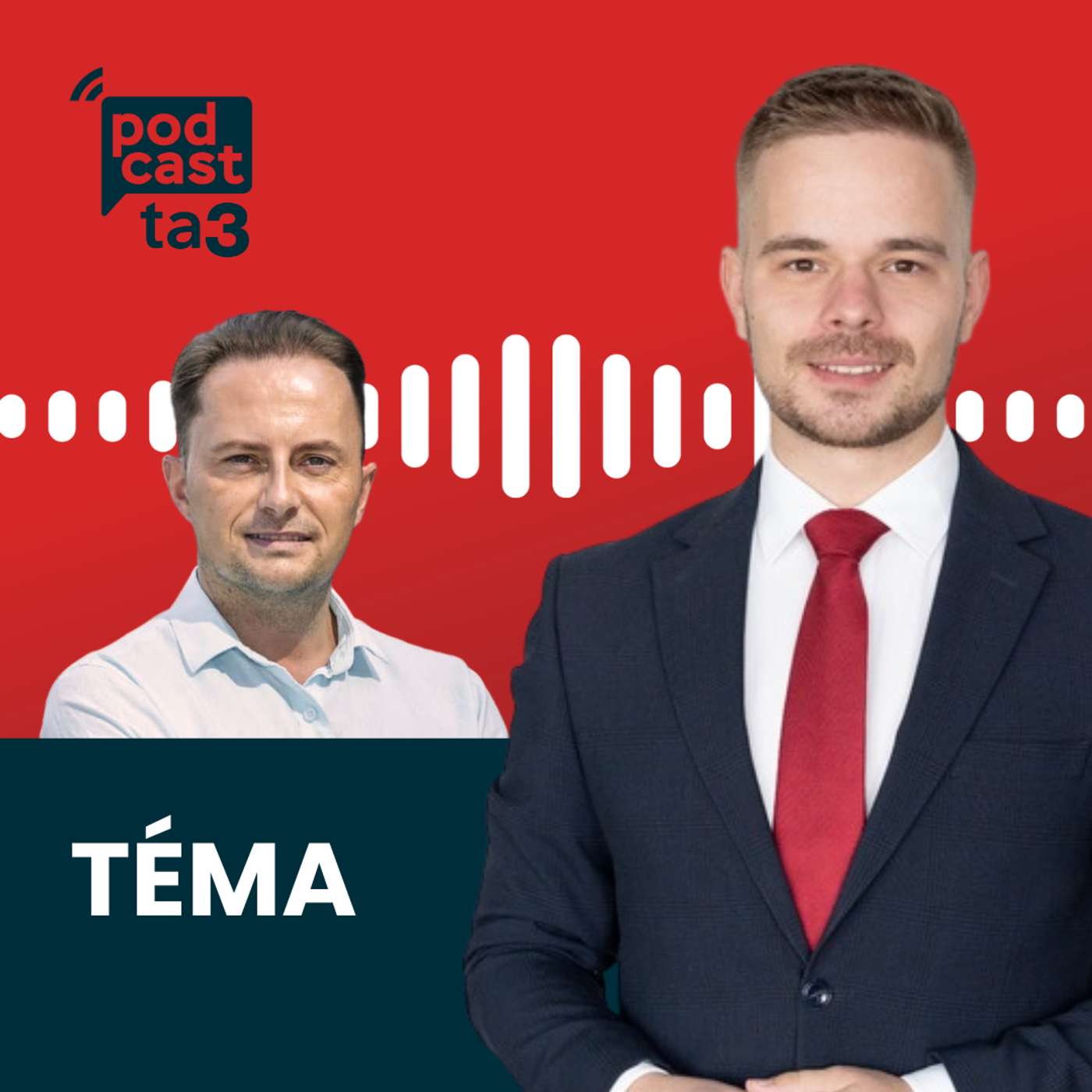 Téma: Miroslav Řádek - Vláda odvolala Lukáša Machalu
