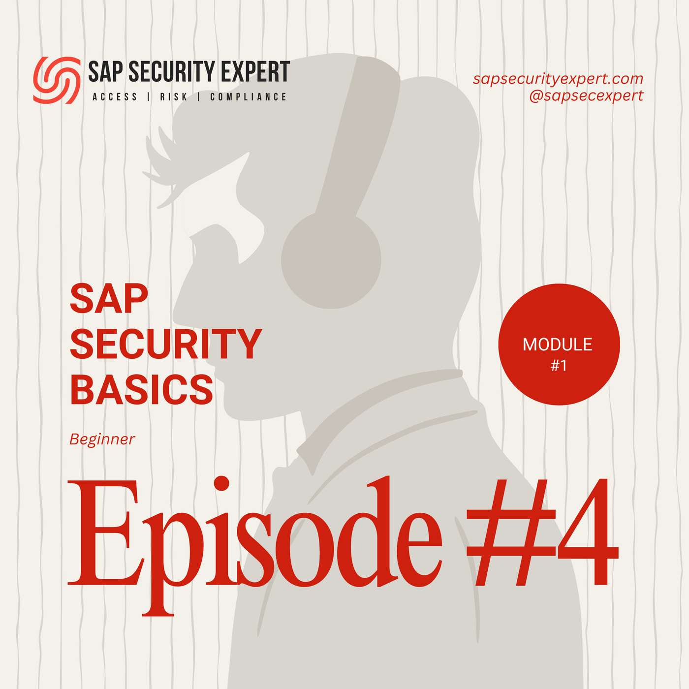 Lesson 4 - Core SAP Security Terminology - A Practical Guide episode artwork
