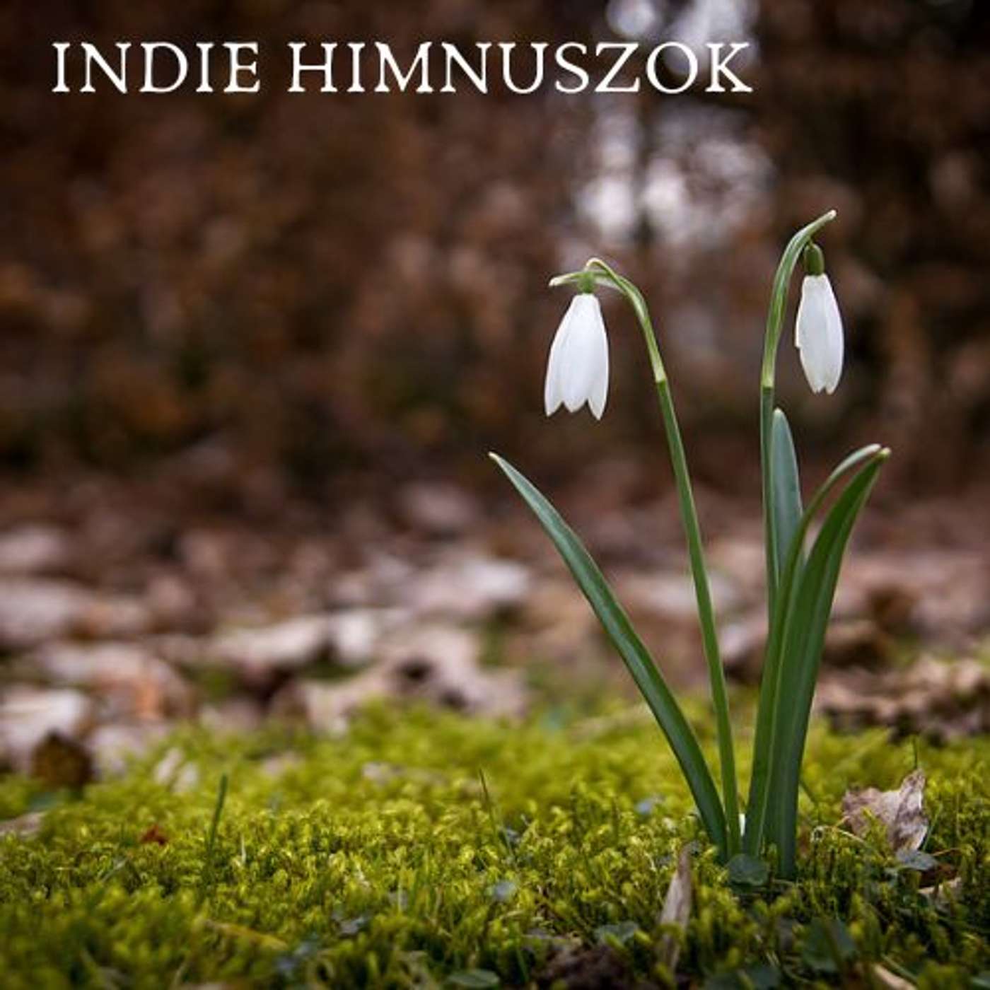 INDIE HIMNUSZOK