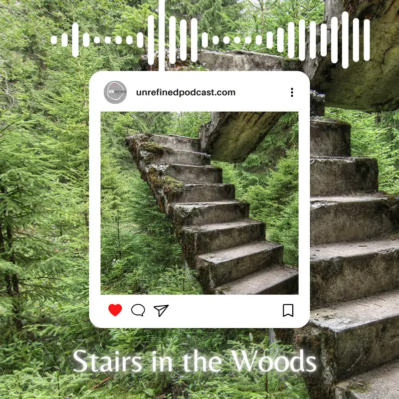 E1 Stairs in the Woods