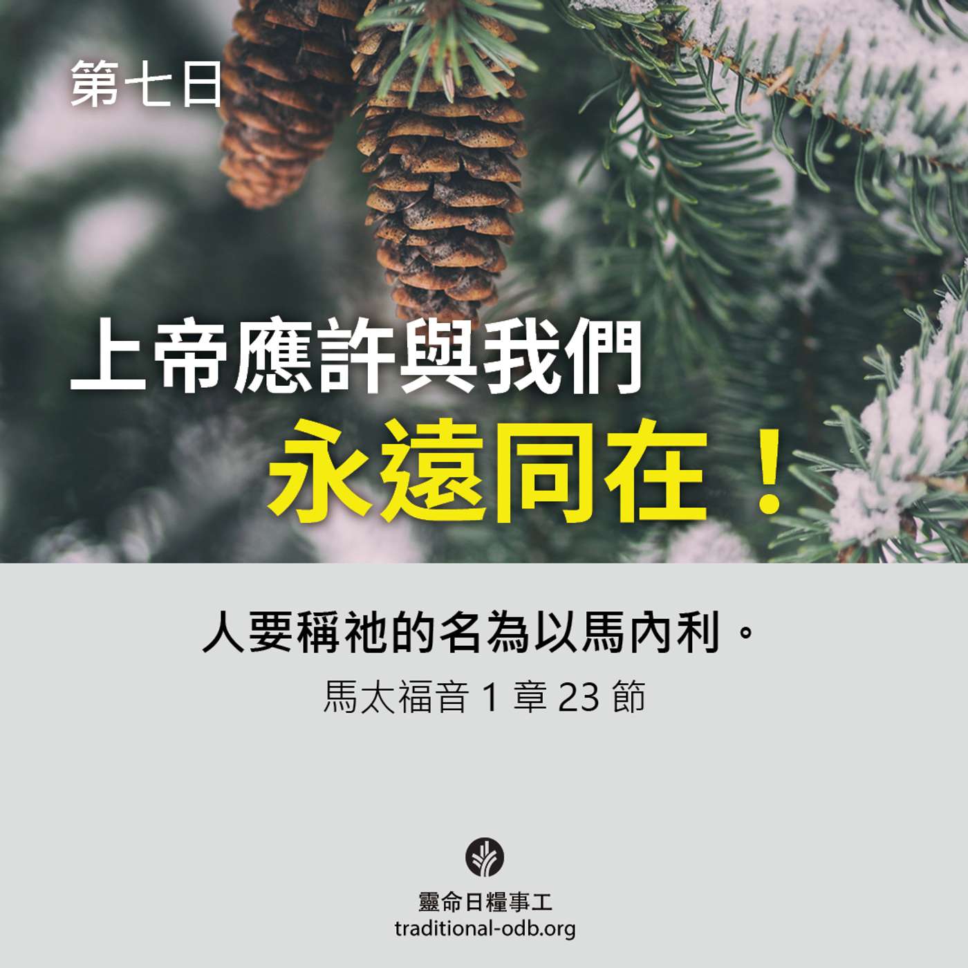 將臨期12天靈修計劃-《聖善夜》第7日 與我們同在