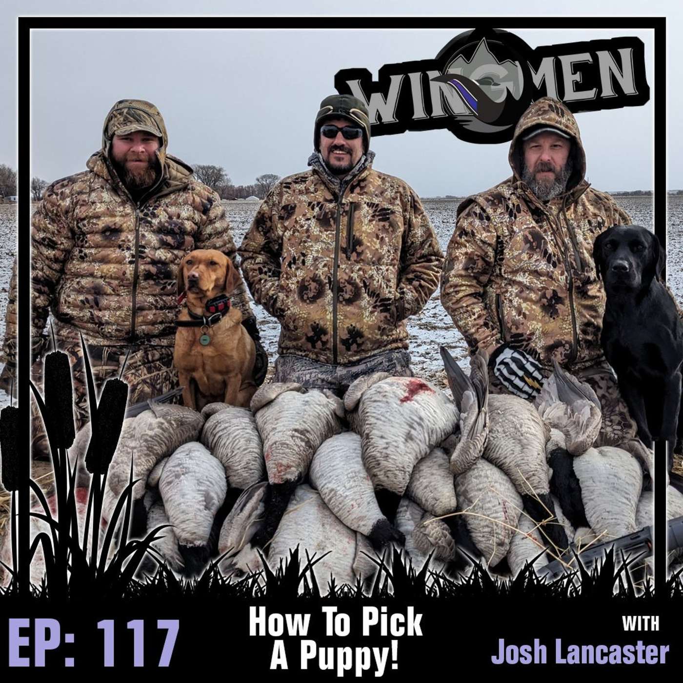 Wingmen Ep 117: How To Pick A Puppy! w/ Josh Lancaster of Red Flats Retrievers episode artwork