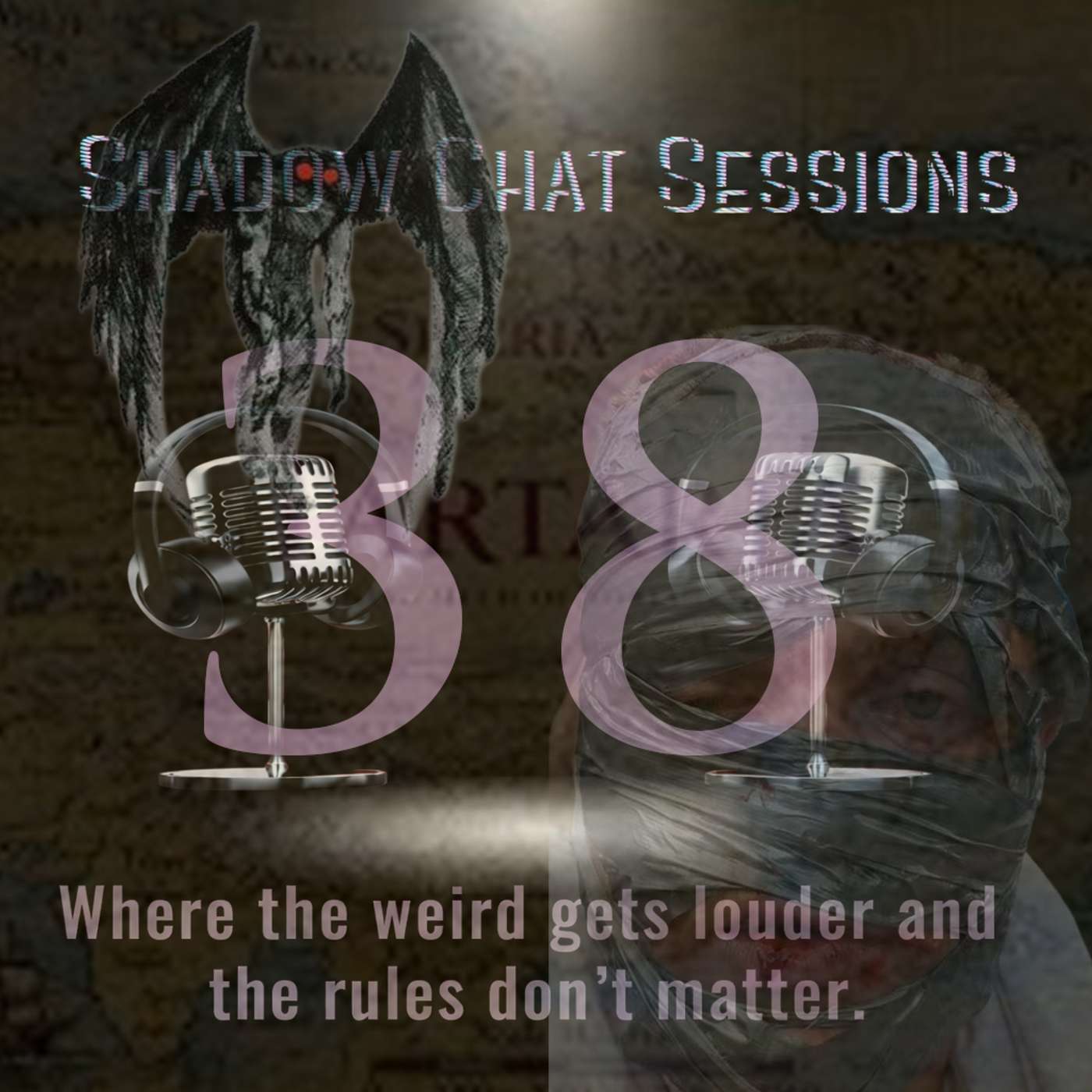Shadow Chat Sessions Ep. 38 | Turtle Smugglers, Tartaria, Haunted Mansions & The Weirdest Stories on the Internet episode artwork