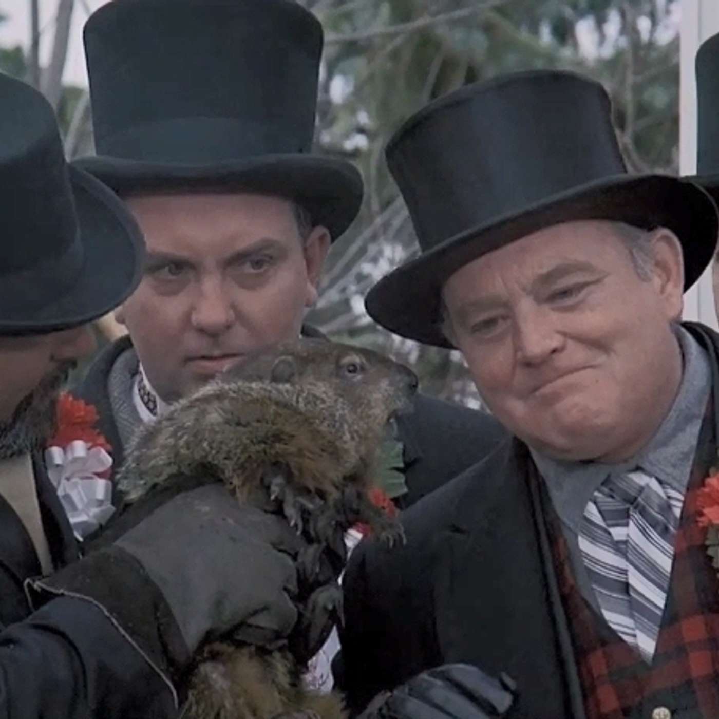they're not actually talking to a groundhog, sean they're not actually talking to a groundhog, sean