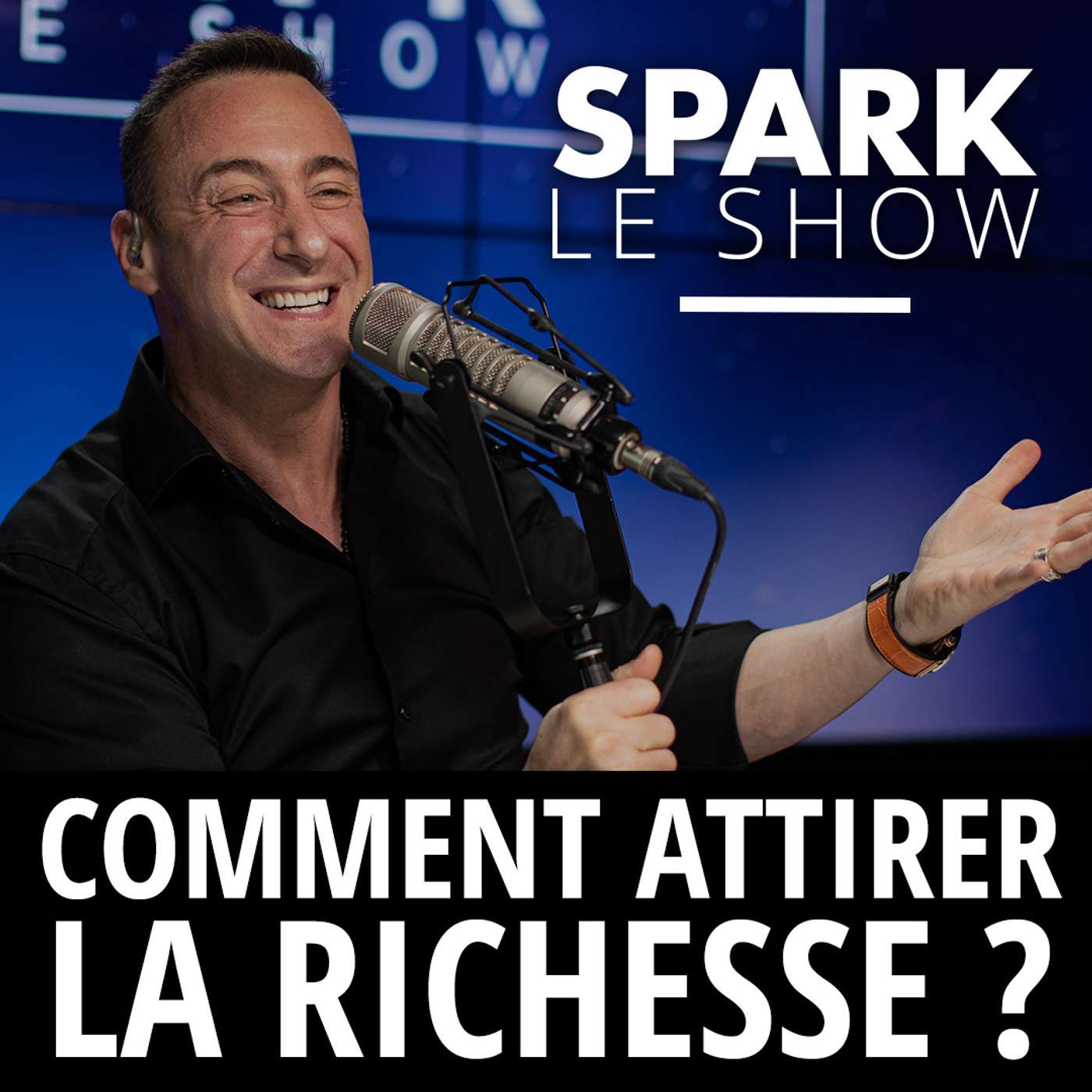 SPARK LE SHOW : Comment attirer toutes les richesses ? episode artwork