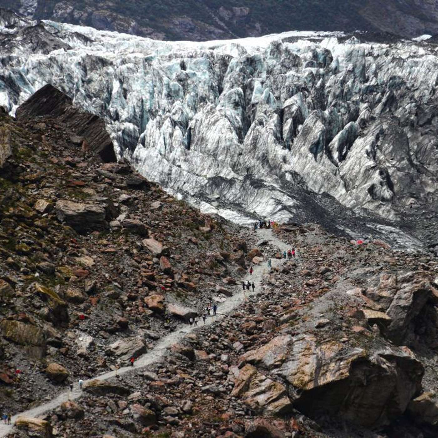 NASA Probes 2024 Eclipse, New Zealand's Glacier Peril, NOAA Warns of Geomagnetic Storm, Japanese Tits Gestures, and more...