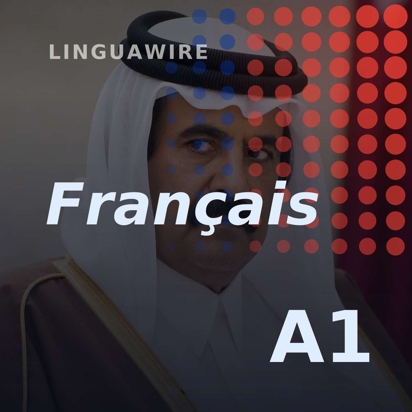 A1 French News | Qatar's Former Leader Dies Aged 74