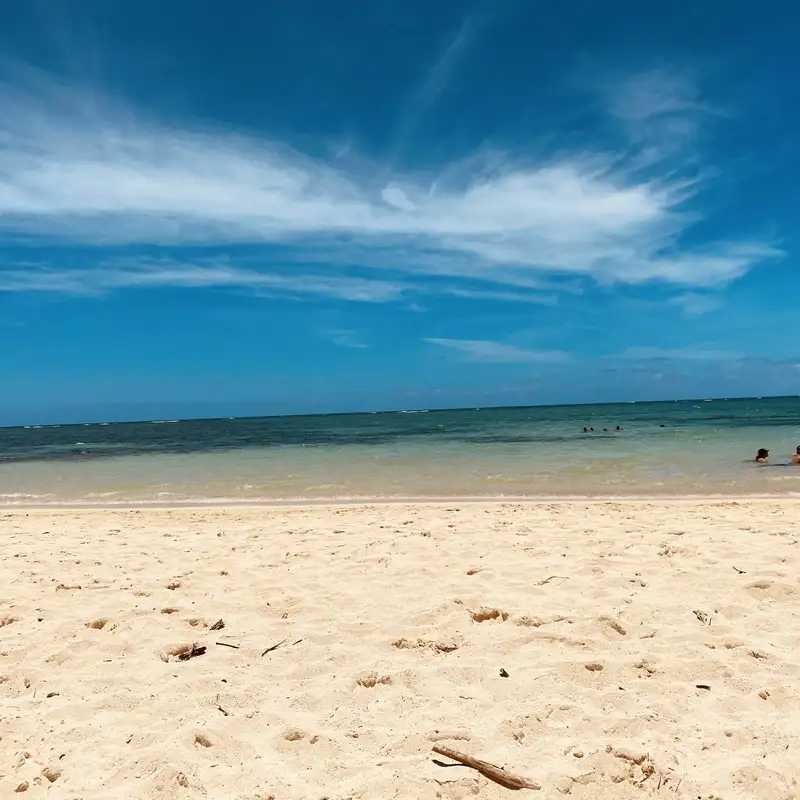 Technopoly Unveiled: Defying Technology’s Grip to Reclaim Conscious Culture